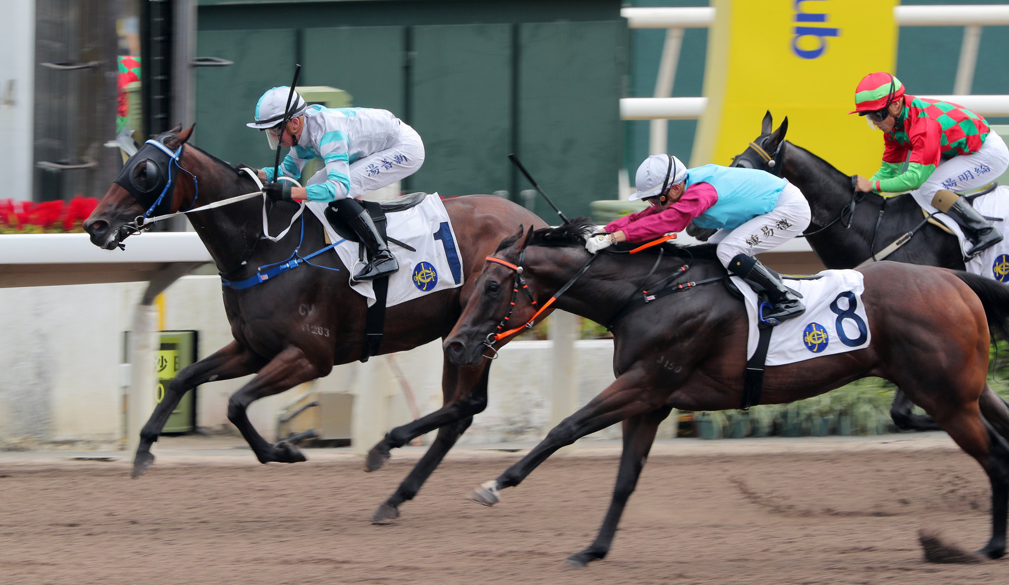 Daily Trophy takes out Saturday’s Sha Tin opener under Ben Thompson.