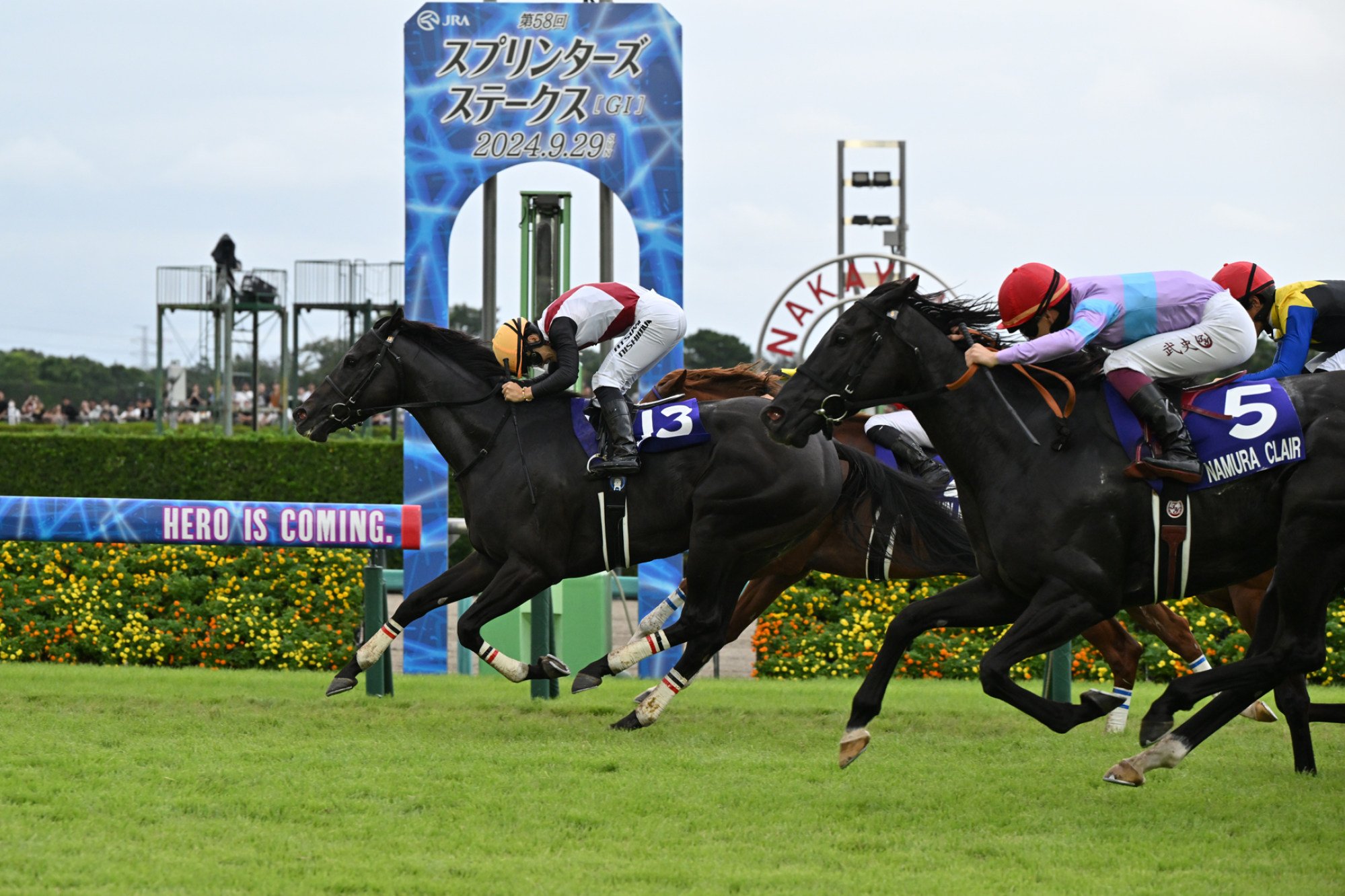 Lugal wins the Sprinters Stakes. Photo: JRA