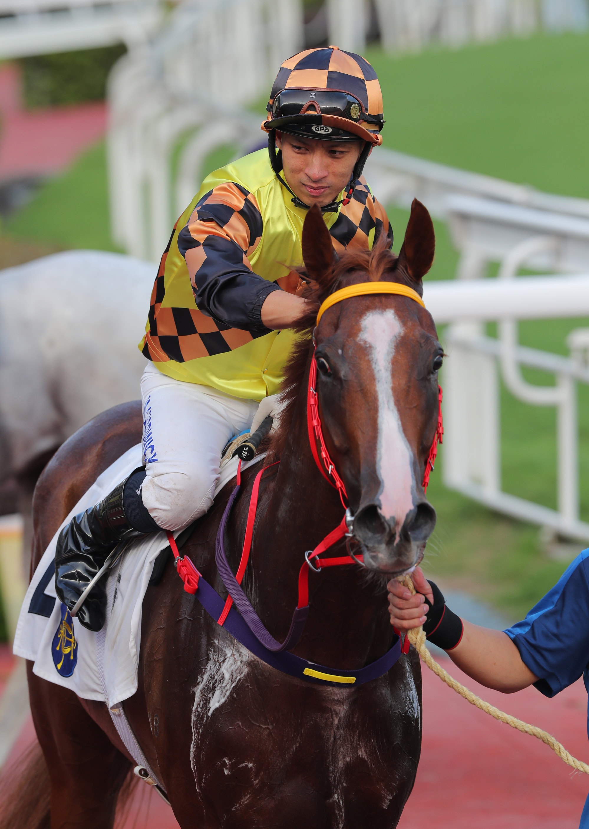 Matthew Chadwick gives Magic Control a pat after his recent win.