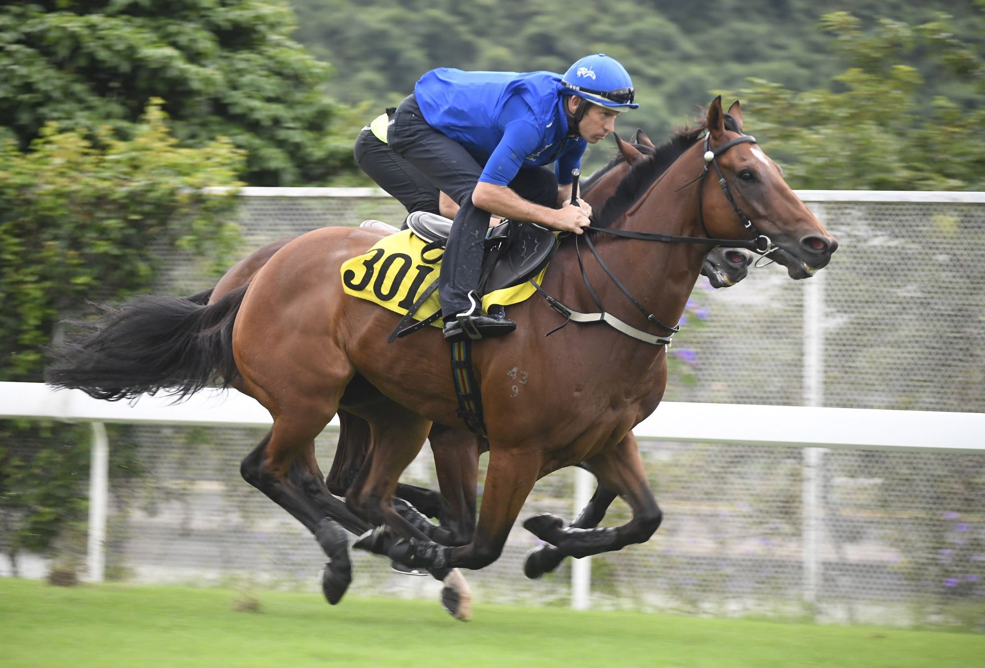 Invincible Sage gallops under Hugh Bowman.