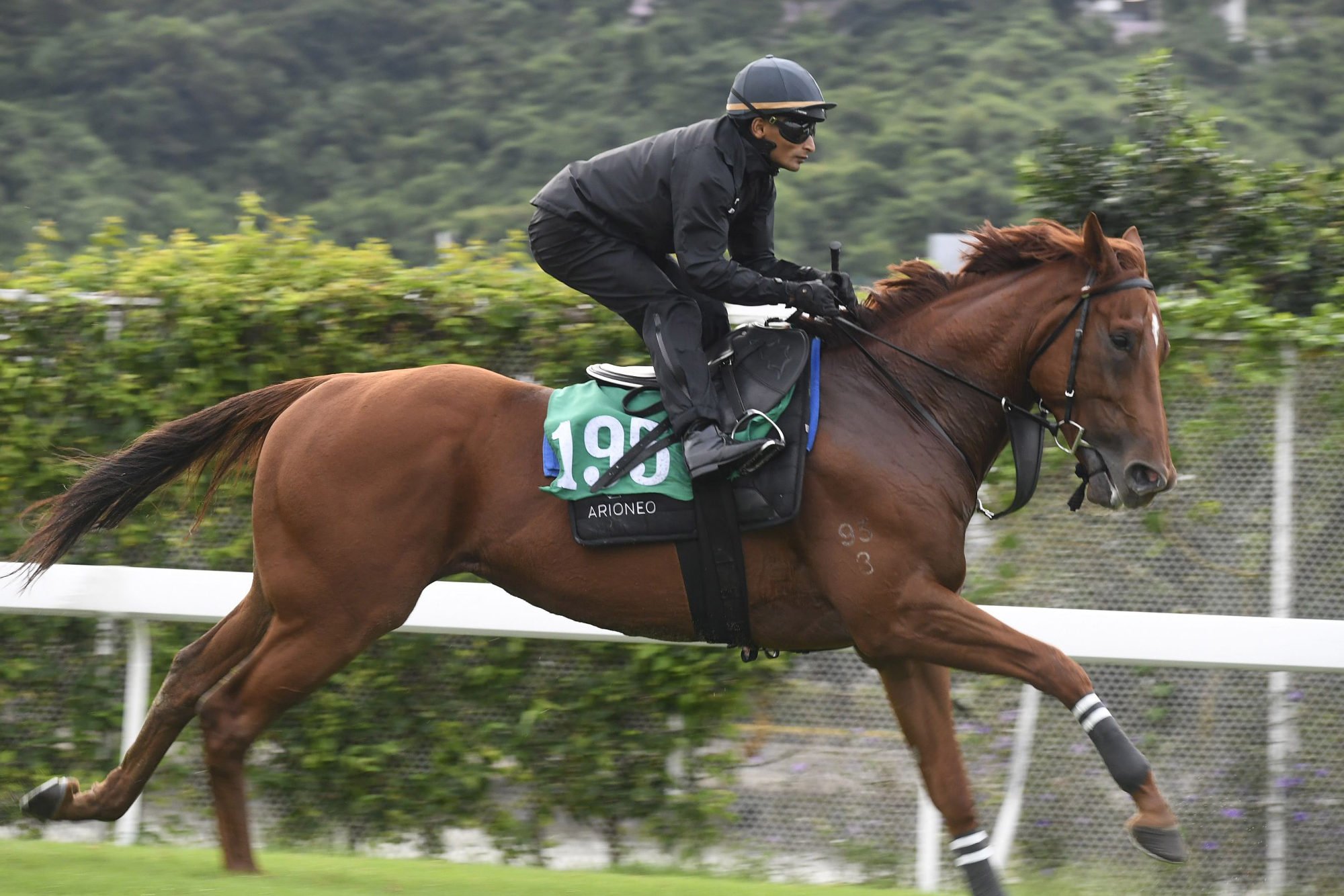 Jumbo Fortune gallops on the Sha Tin turf under Karis Teetan.