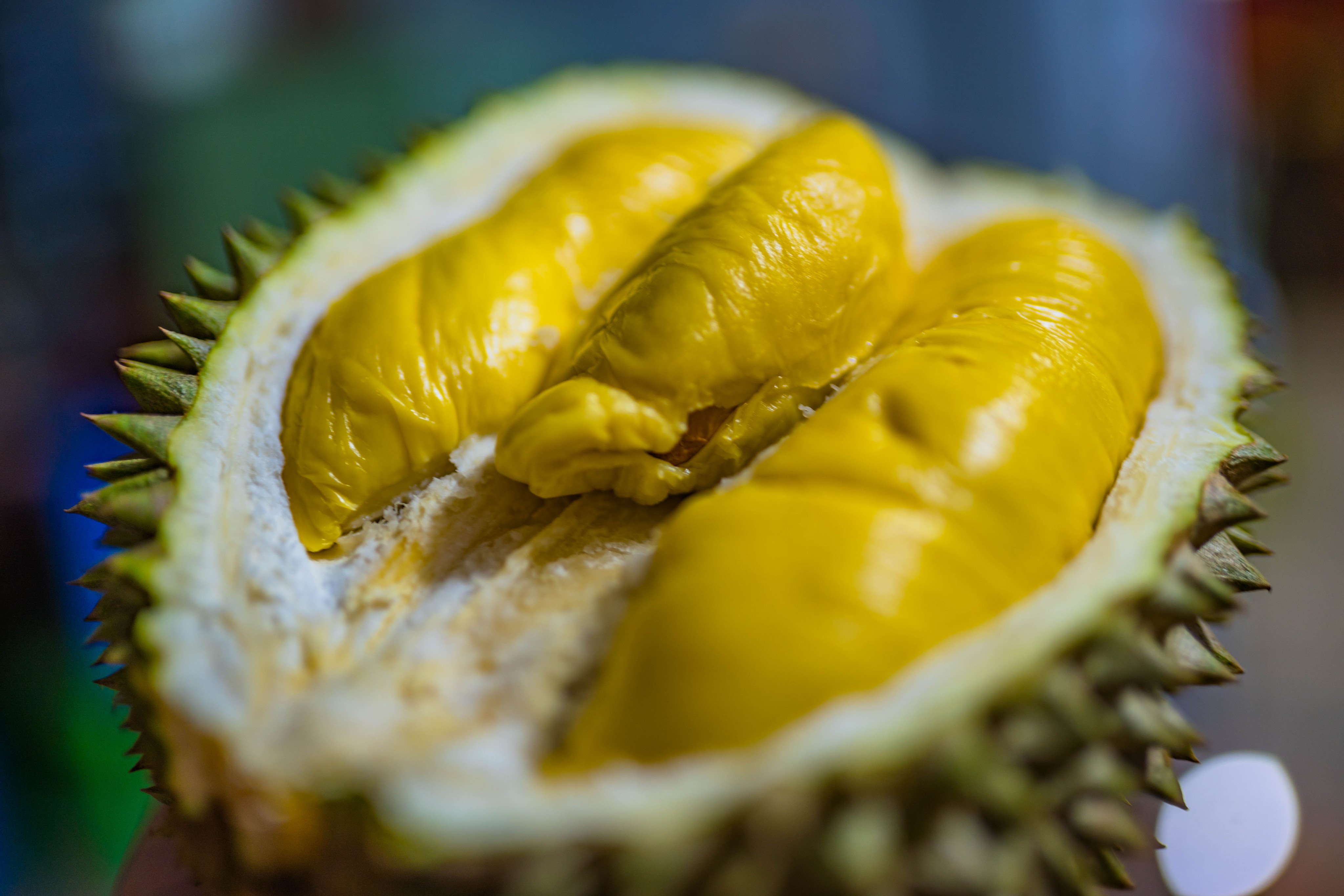 Musang King durians from Malaysia are known for their creamy flesh and a balance of sweetness and bitterness. Photo: Shutterstock