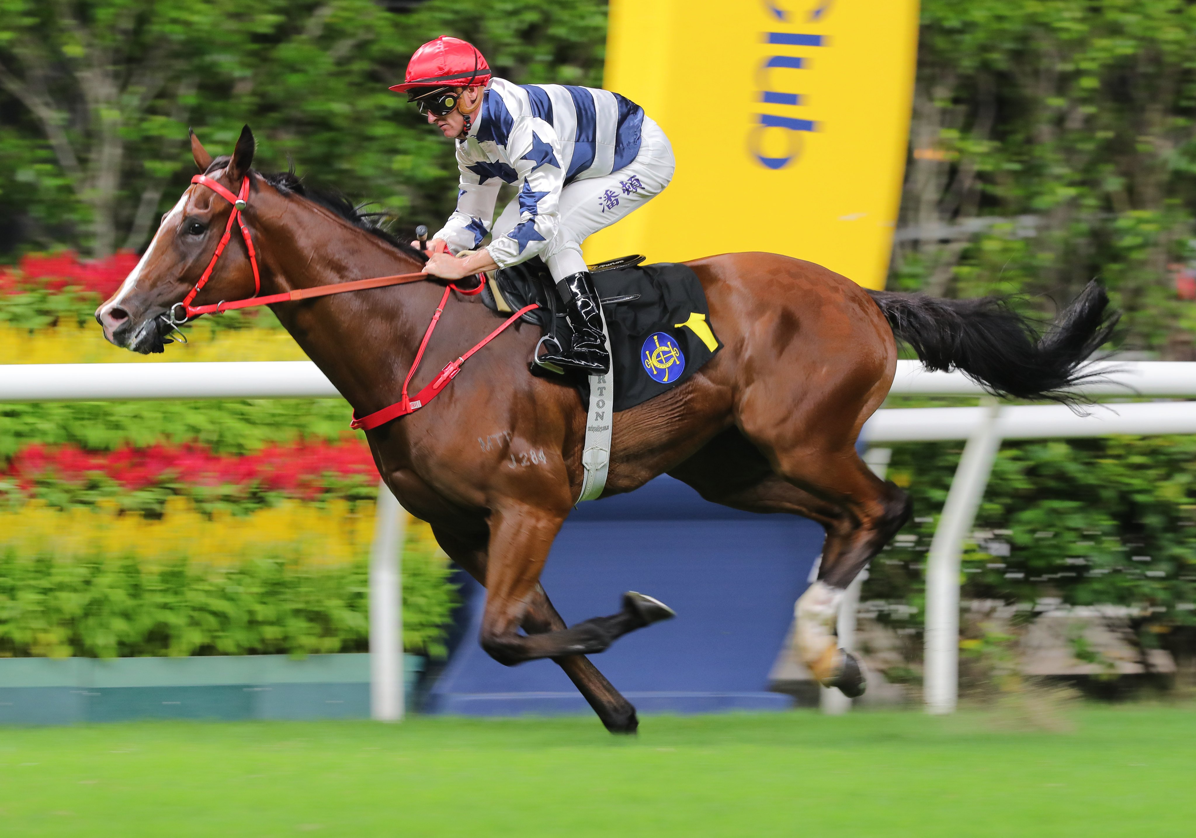 Packing Power makes it two from two at Happy Valley. Photos: Kenneth Chan