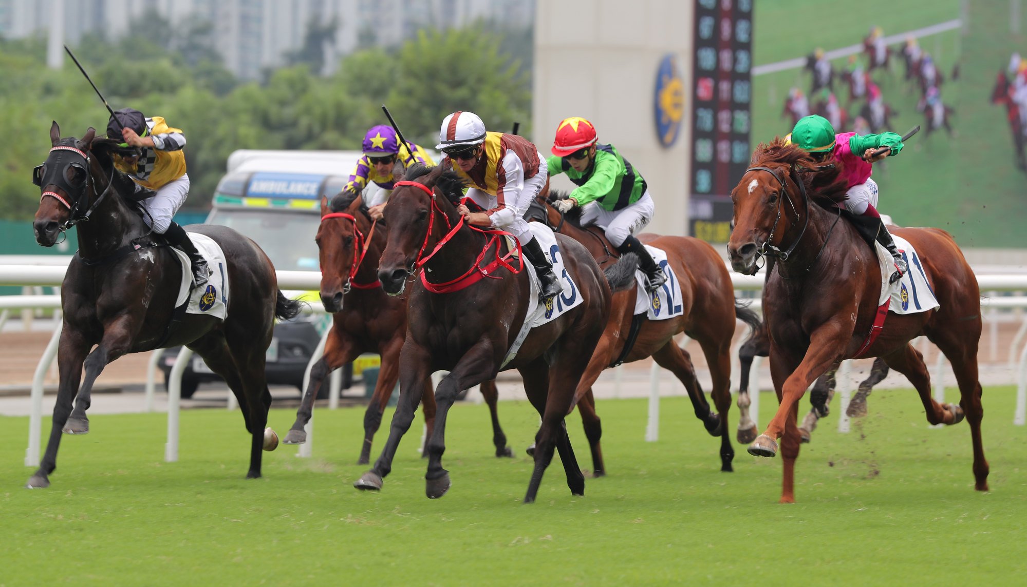 View Of The World (centre) powers home to score at Sha Tin.