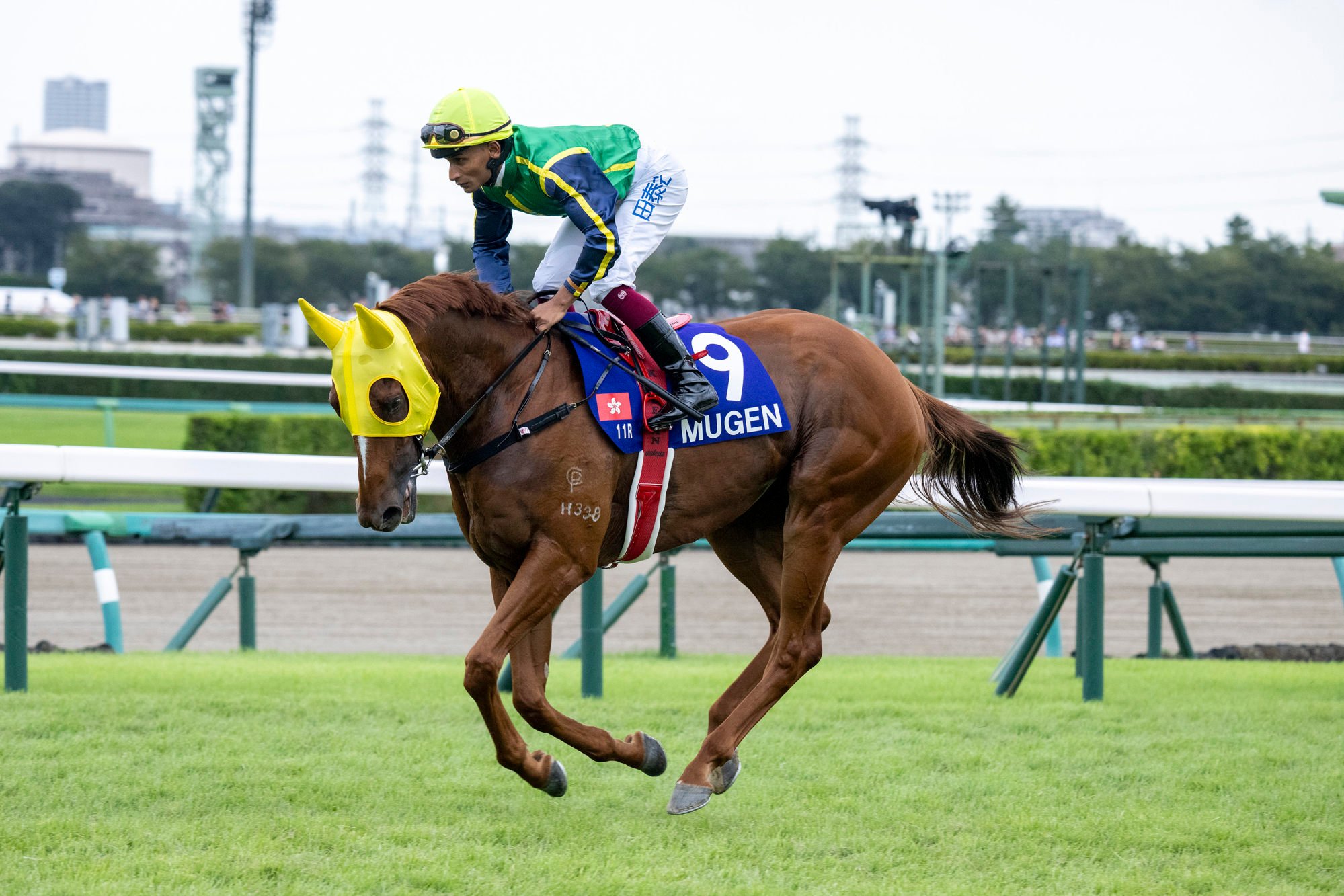 Mugen before the start of the Sprinters Stakes at Nakayama racecourse with Karis Teetan on board.