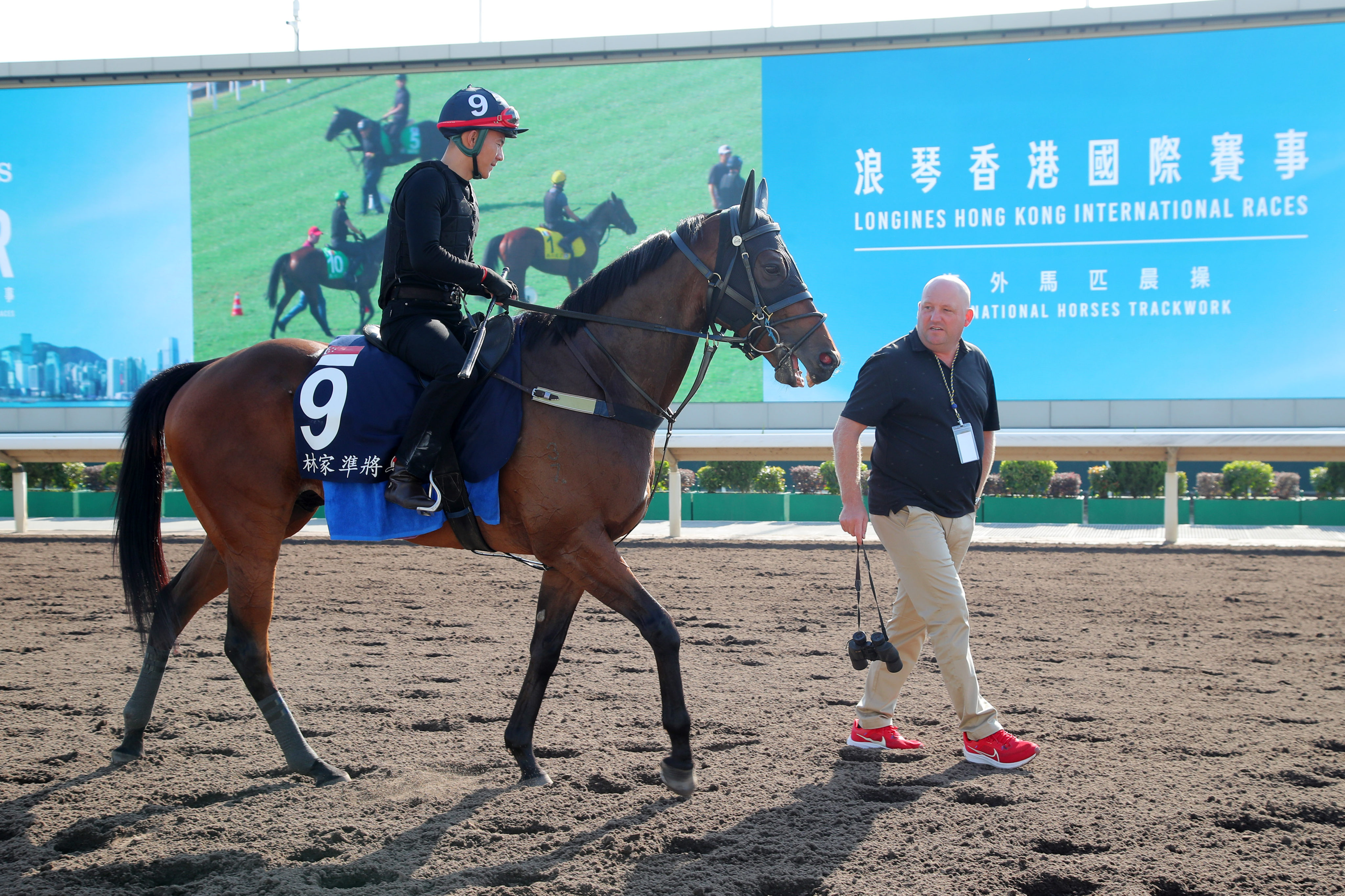 Trainer Daniel Meagher looks over Lim’s Kosciuszko before last year’s Hong Kong Mile. Photo: Kenneth Chan