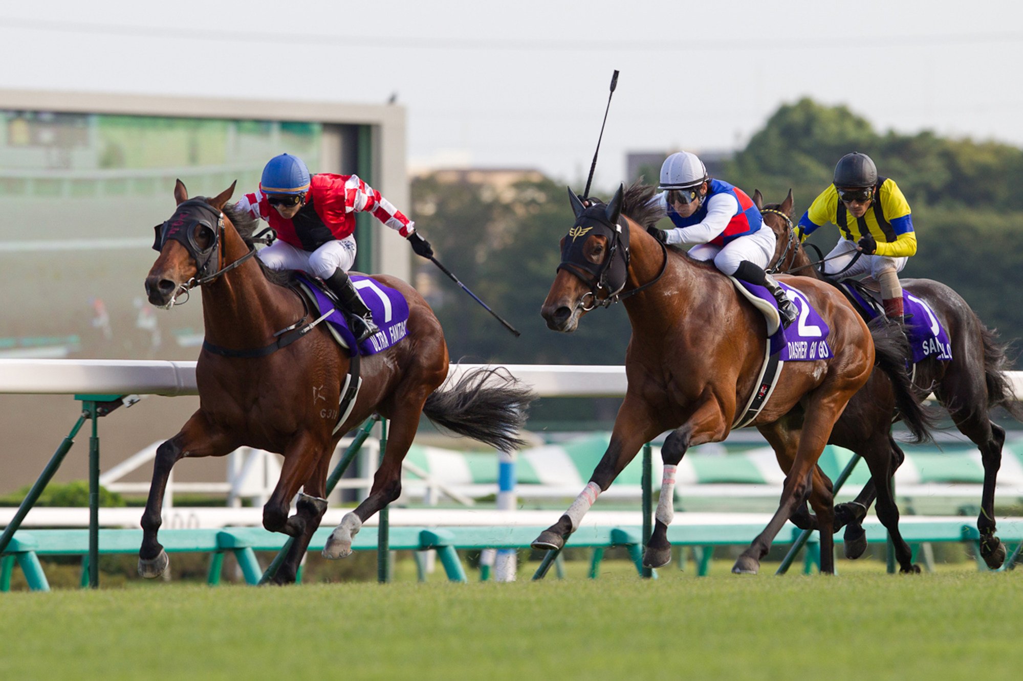 Ultra Fantasy winning the Sprinters States in Japan. Photo: SCMP Pictures