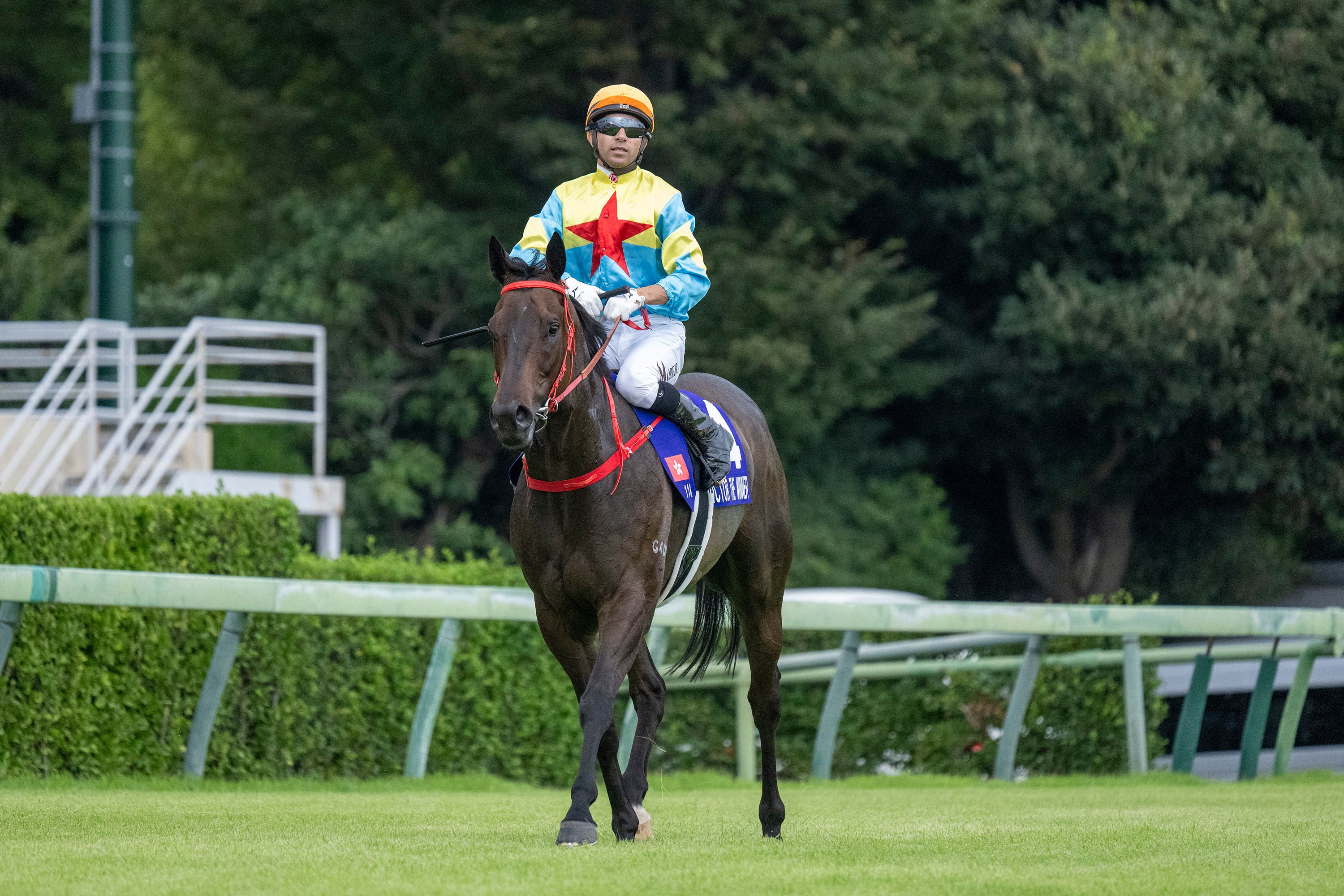 Victor The Winner before the start of the Sprinters Stakes at Nakayama racecourse with Joao Moreira on board. Photos: HKJC