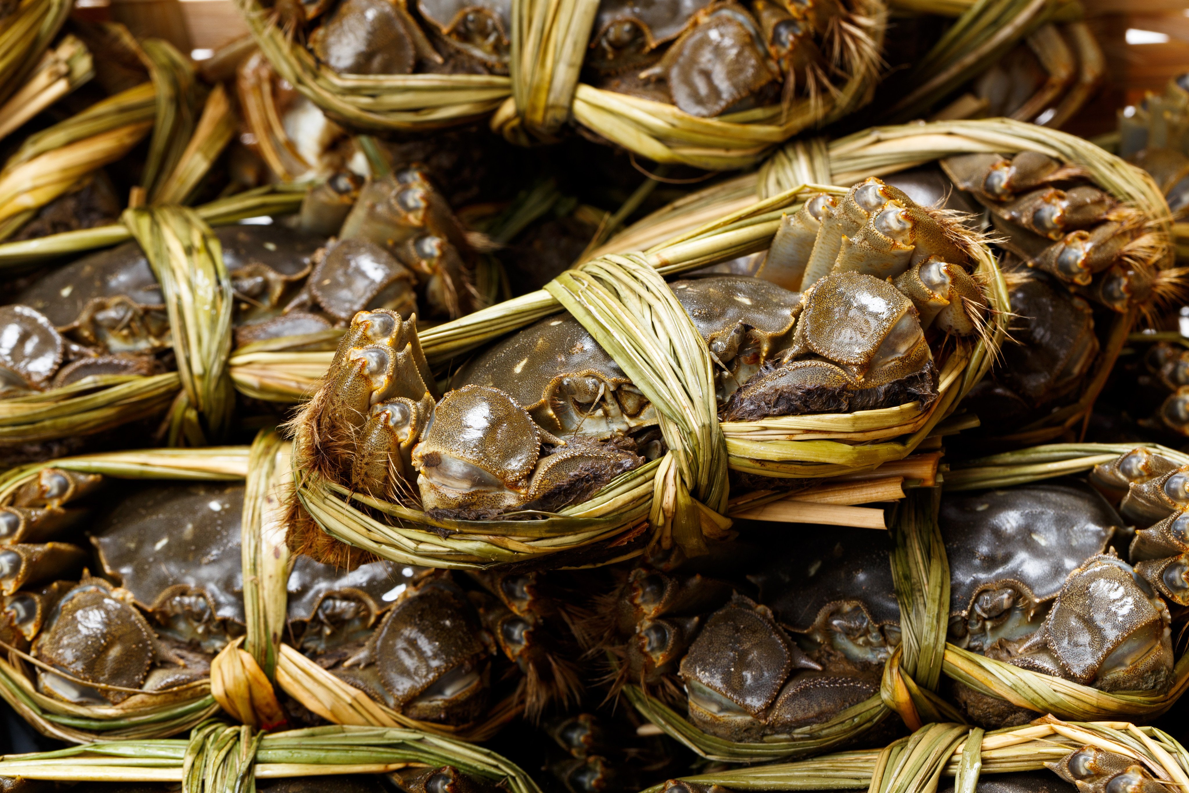 Chinese mitten crabs. Photo: Shutterstock Images