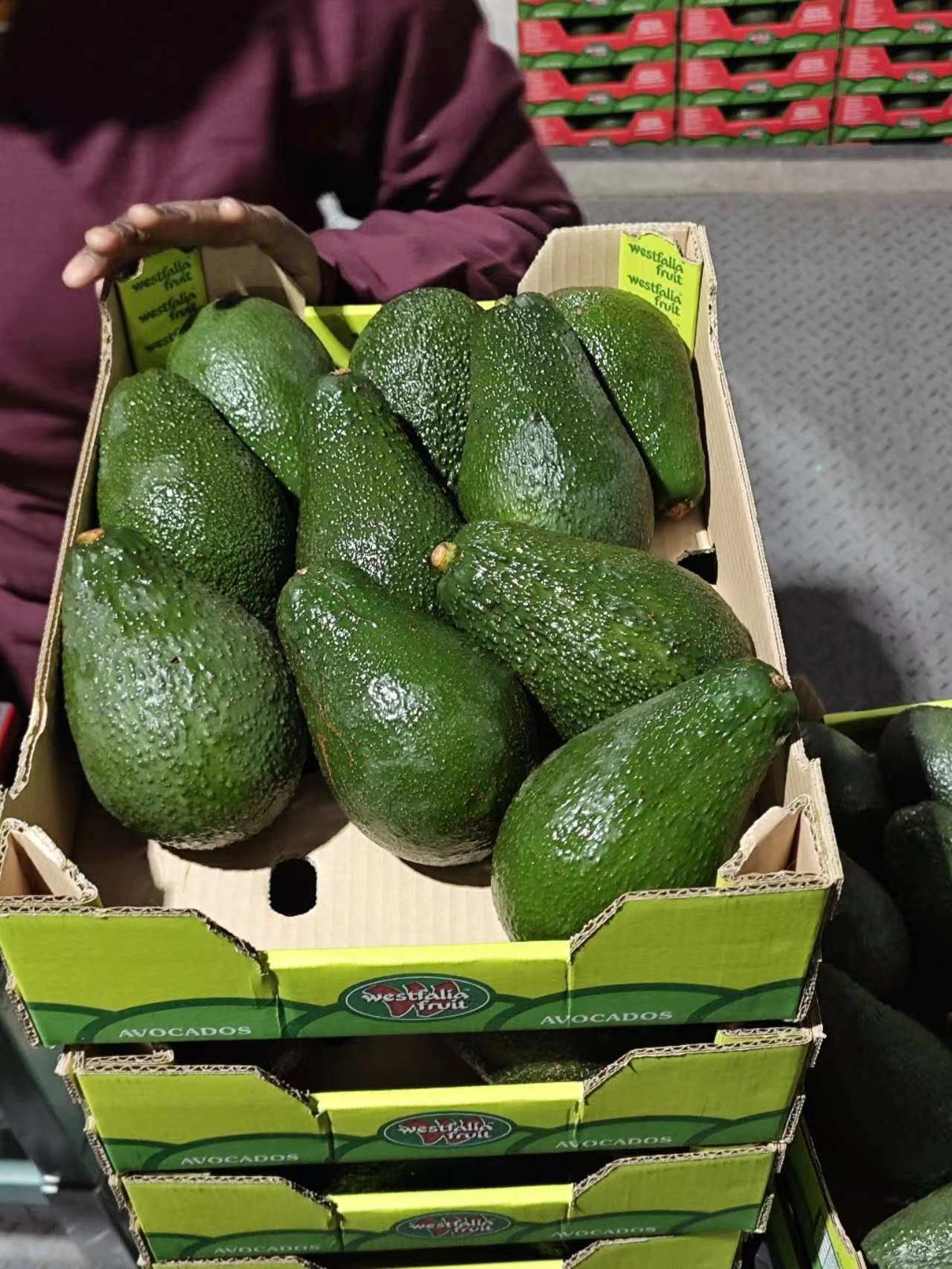 Resource-rich South Africa has become the third African avocado producer to gain access to the vast Chinese market. Photo: X/ @AmbWuPeng