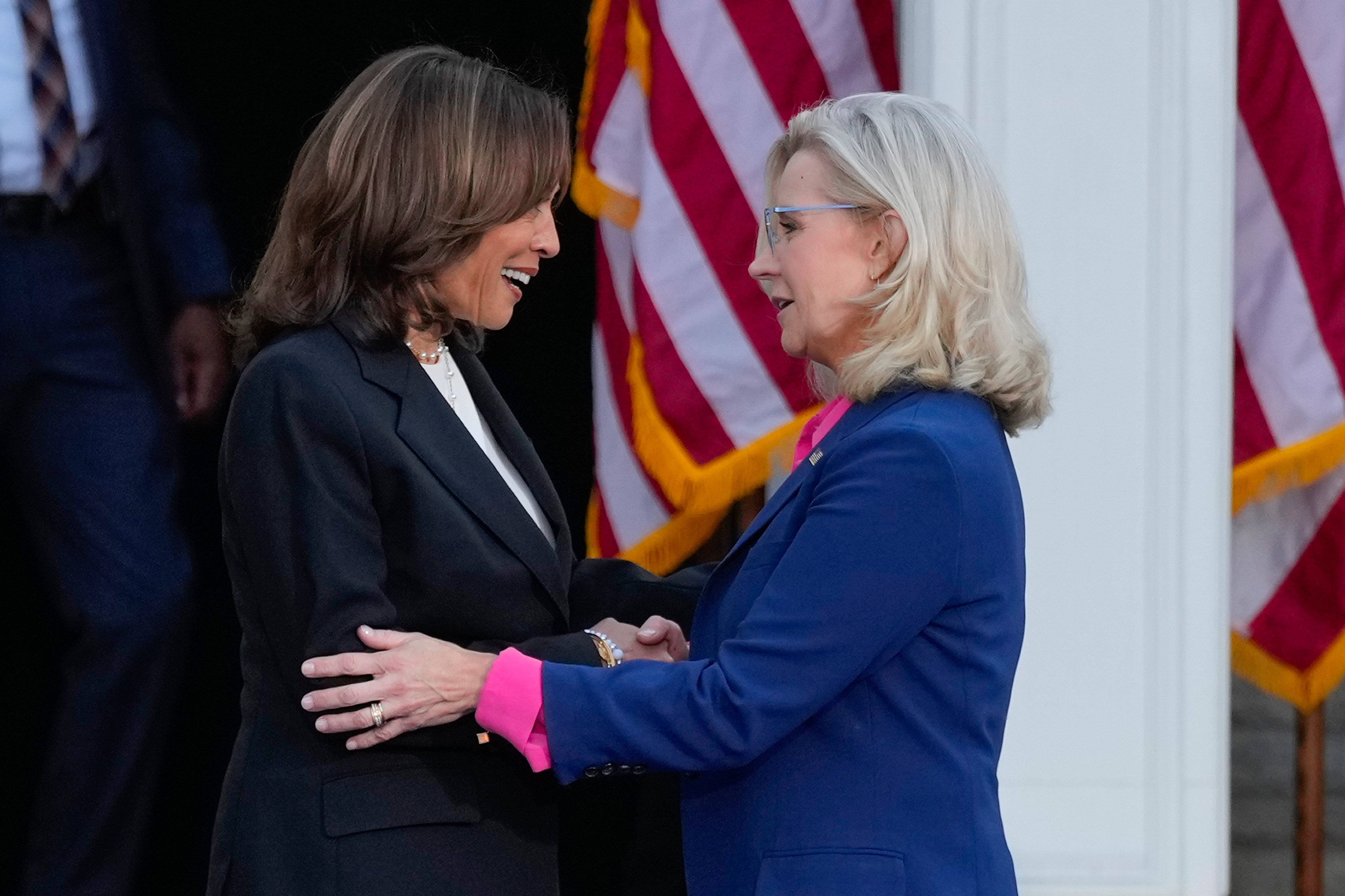 Vice-President Kamala Harris and former congresswoman Liz Cheney. Photo: AP