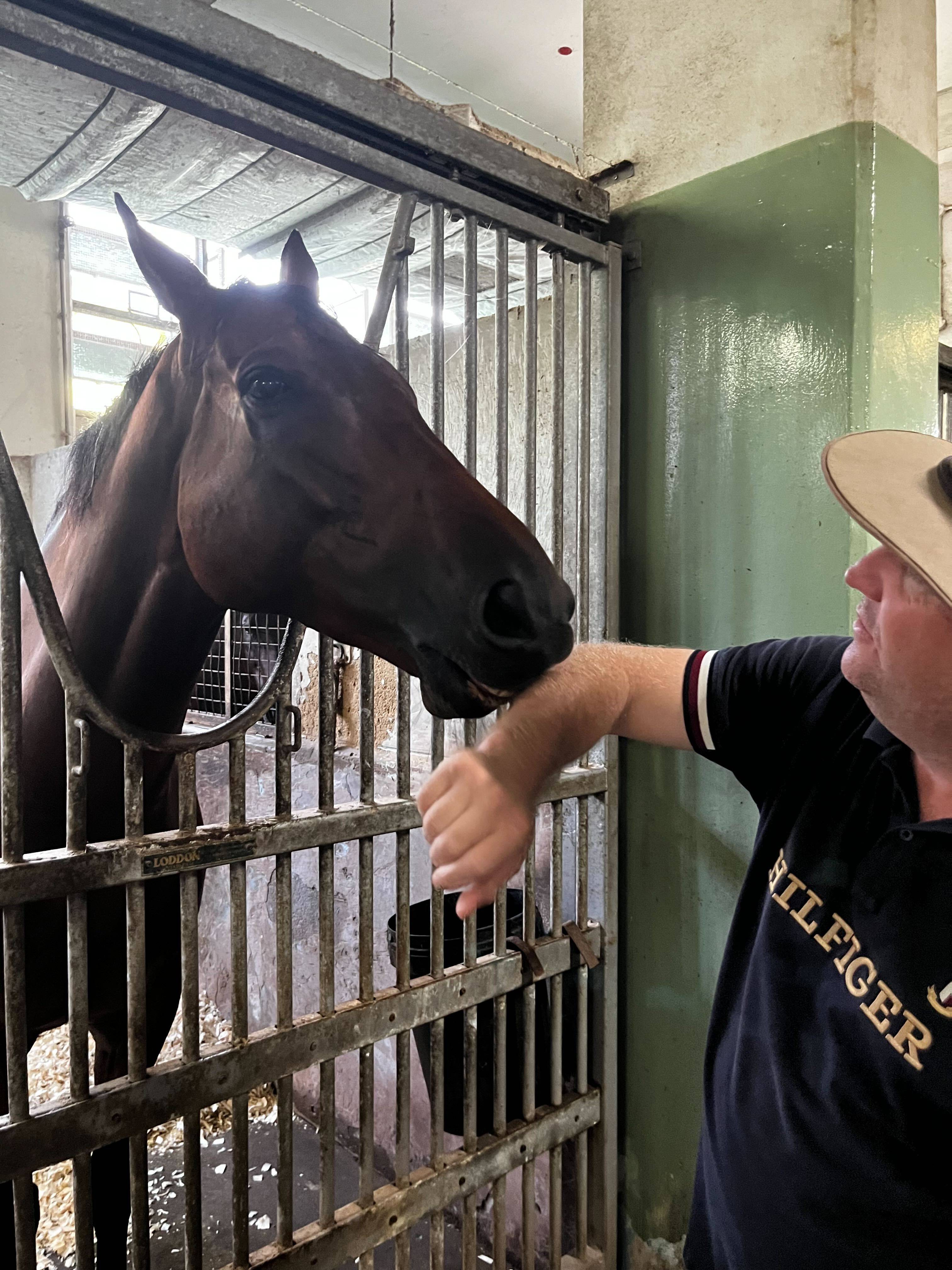 Daniel Meagher, an Australian horse trainer, and Lim’s Kosciuszko, a horse from Lim’s Stables. Photo: Jean Iau