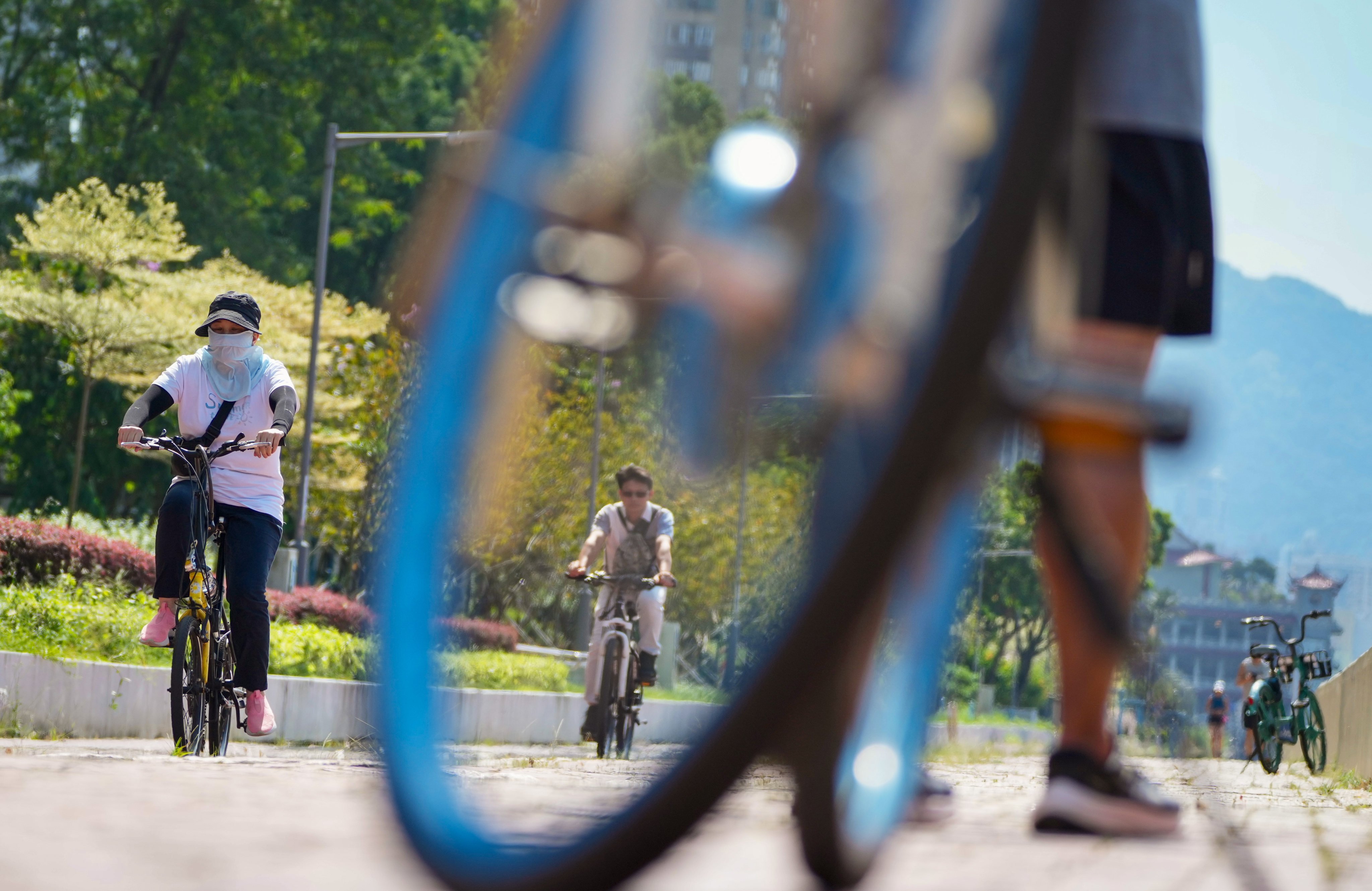 Cyclists in Hong Kong are not required by law to wear safety helmets. Photo: Sam Tsang