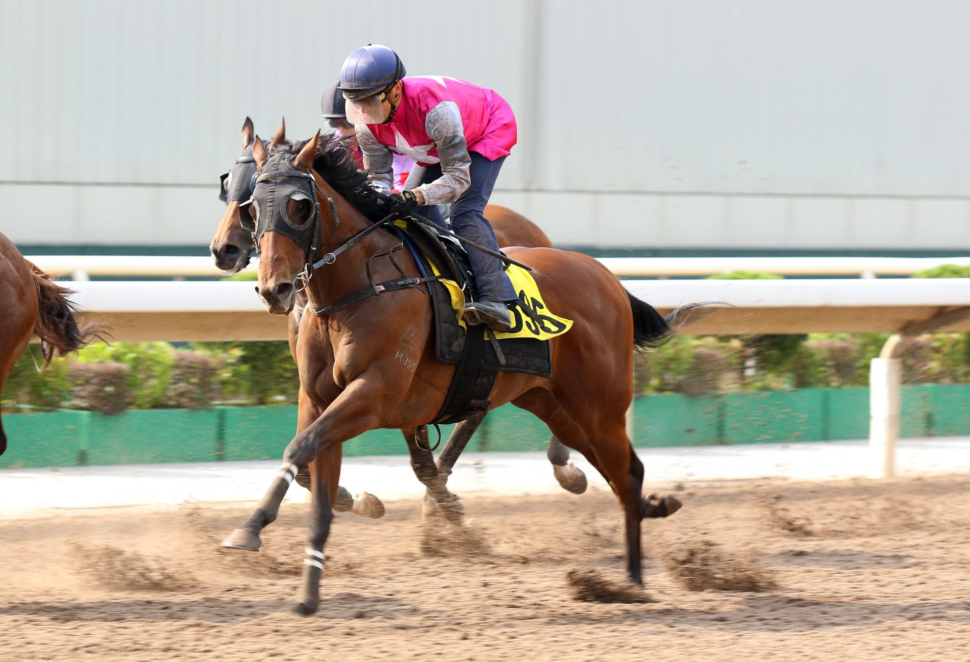 Swift Ascend trials at Sha Tin last month.