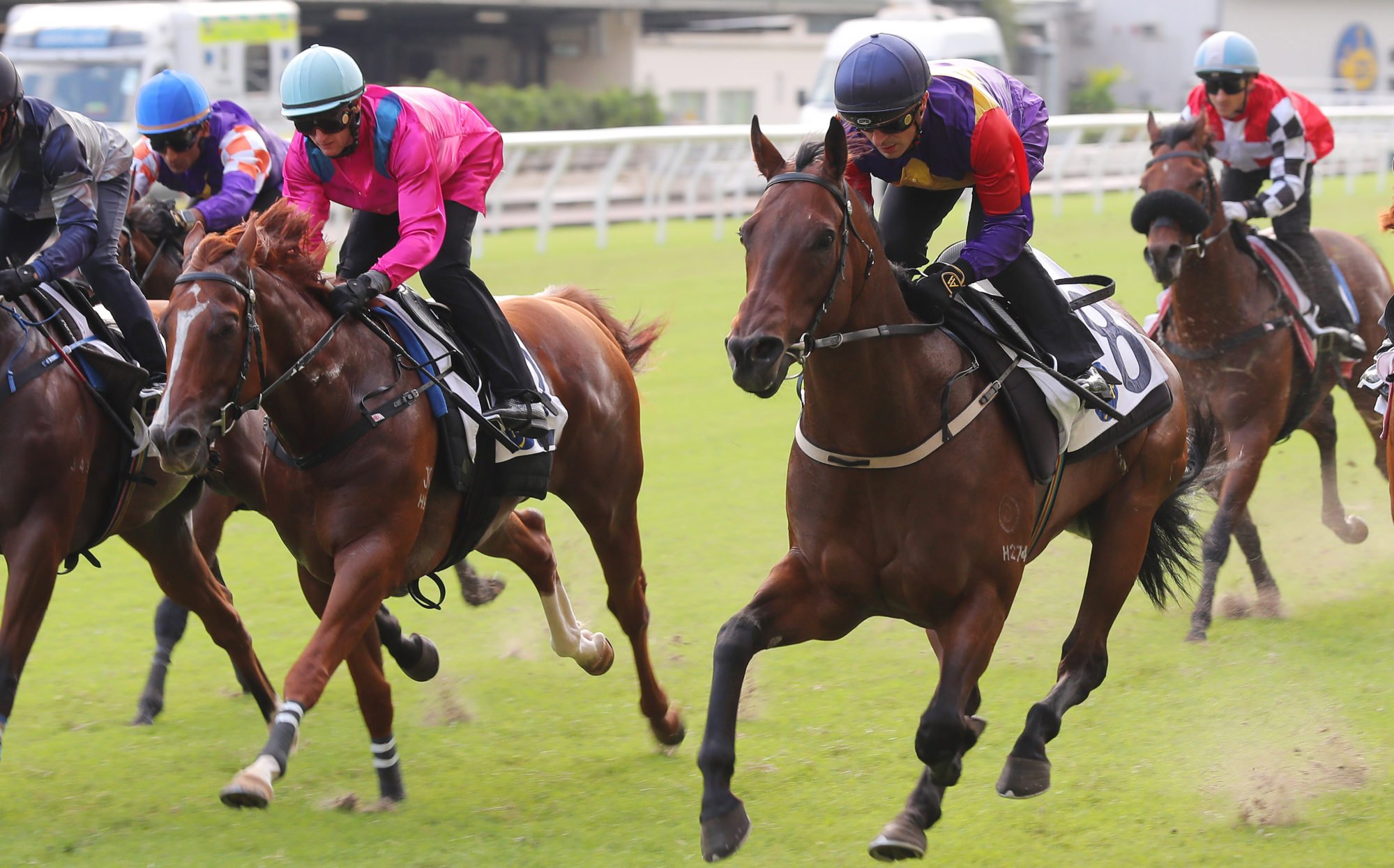 Speedy Fortune (left) finishes second to Lucky Encounter (right) in a recent Happy Valley trial.