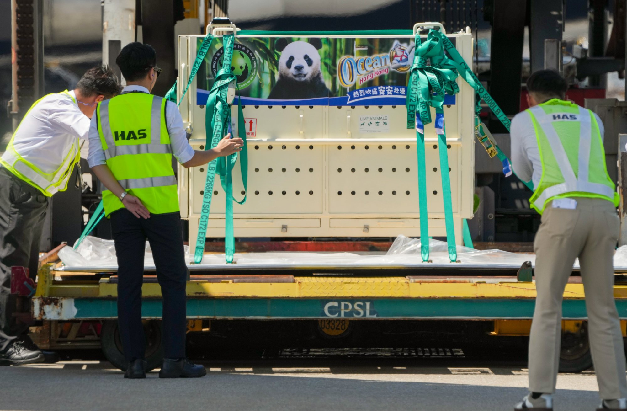 Beijing has cited its gifting of two giant pandas to Hong Kong as one of the measures it has already rolled out to support the city. Photo: Elson Li