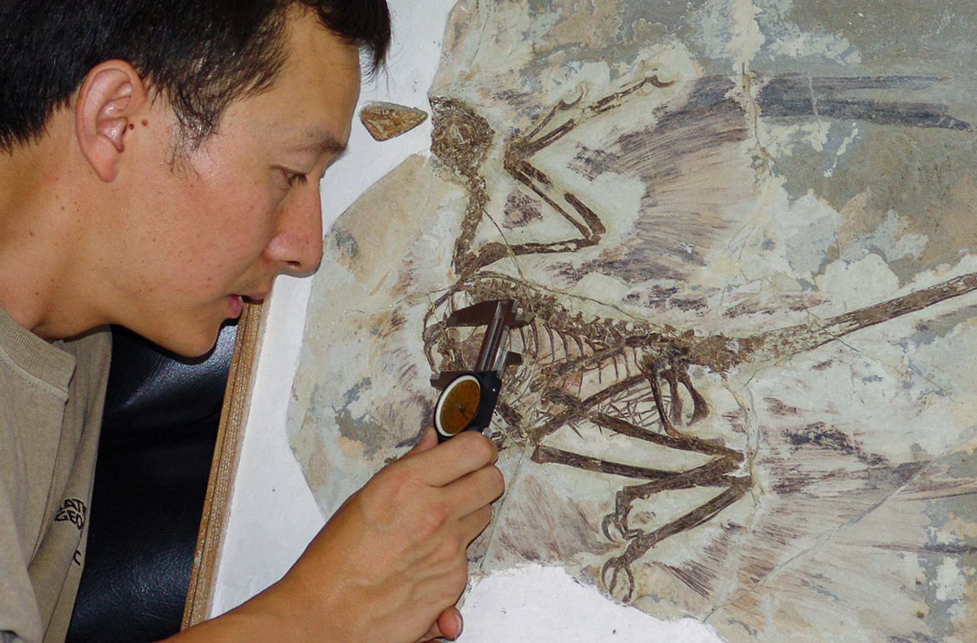 “I have witnessed China’s dinosaur research rise from its low ebb to the vibrant state it is in now. We are ready to go global,” Xu Xing says. Photo: Handout