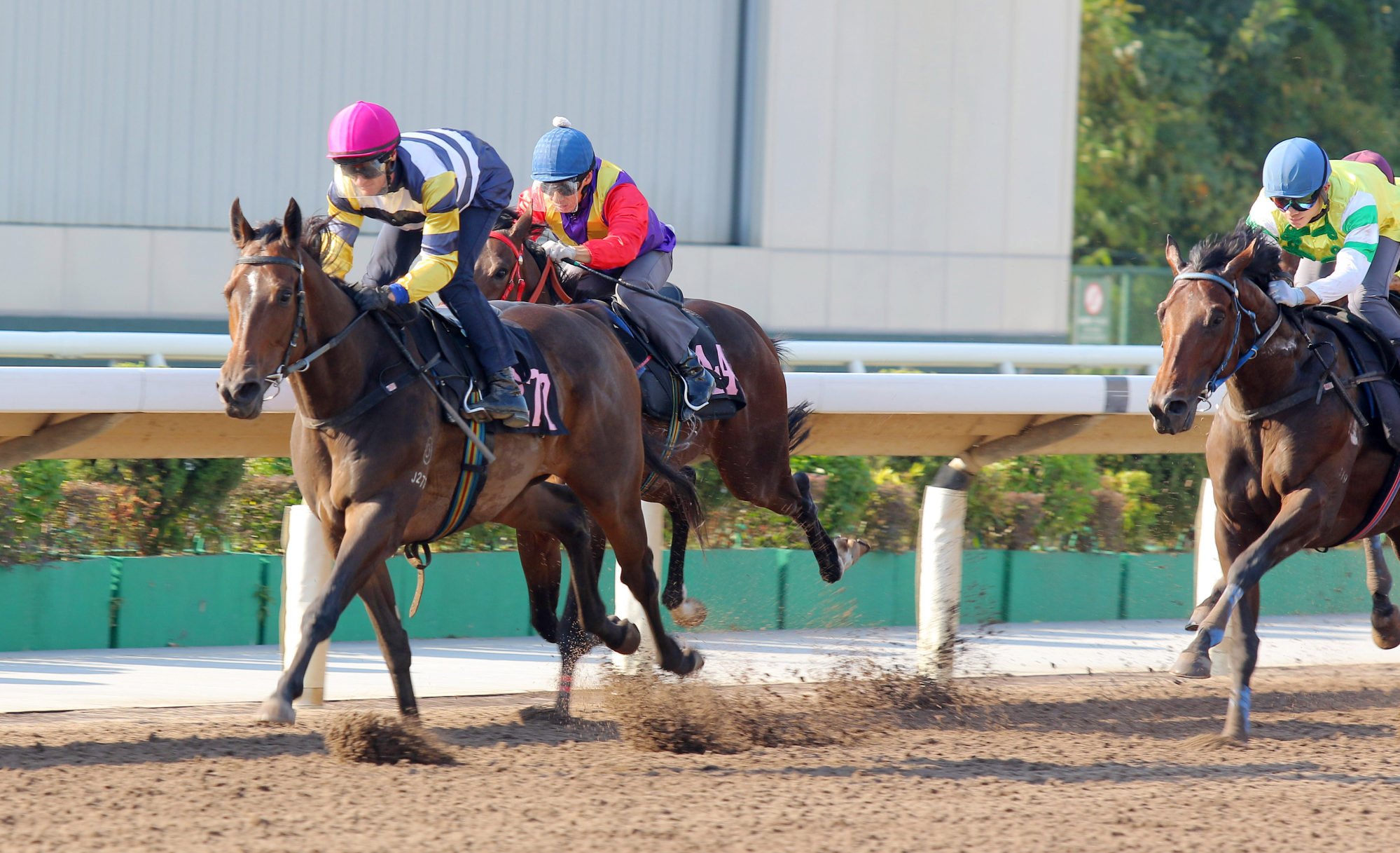 Packing Hermod wins his Sha Tin dirt trial on Tuesday under Zac Purton. Photo: Kenneth Chan