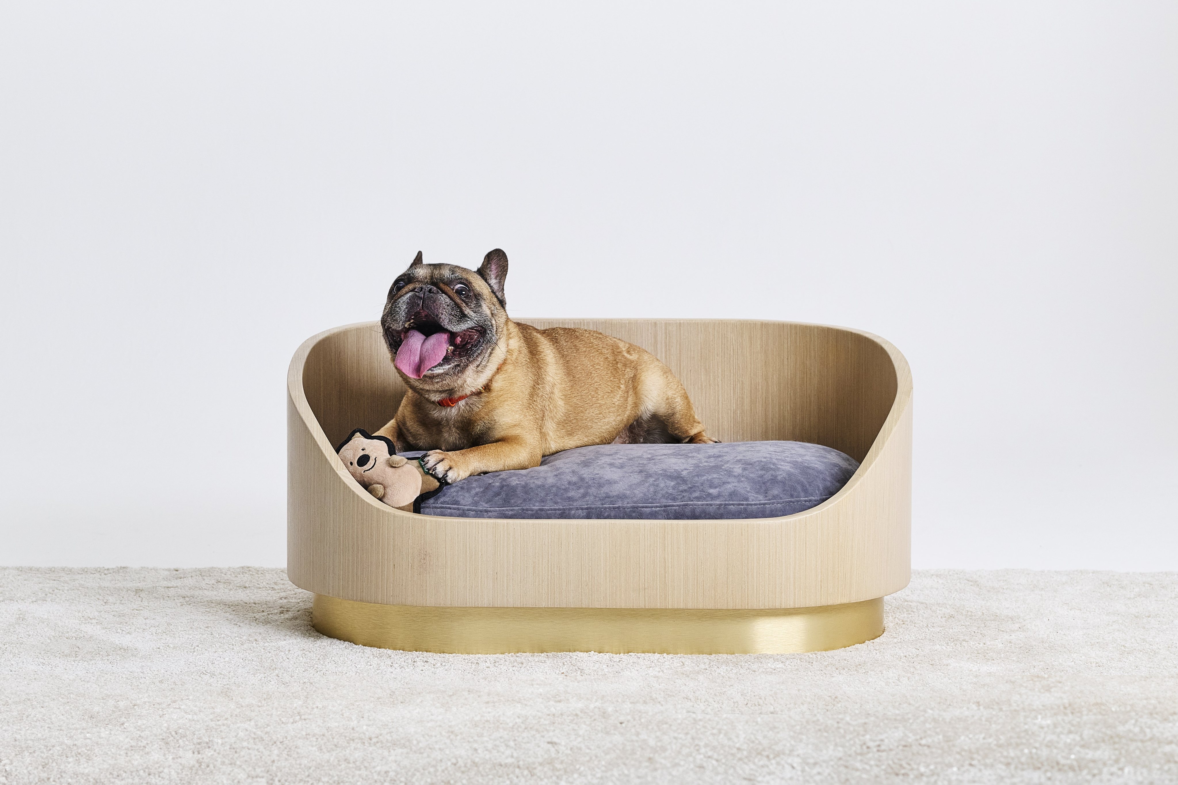 The Liebling, Hong Kong’s first bespoke luxury pet bed, is now available to order and comes in three sizes. Photo: Liebling