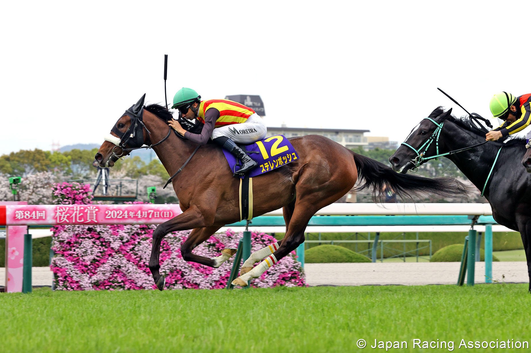 Stellenbosch wins April’s Group One Oka Sho (1,600m) under Joao Moreira. Photo: JRA