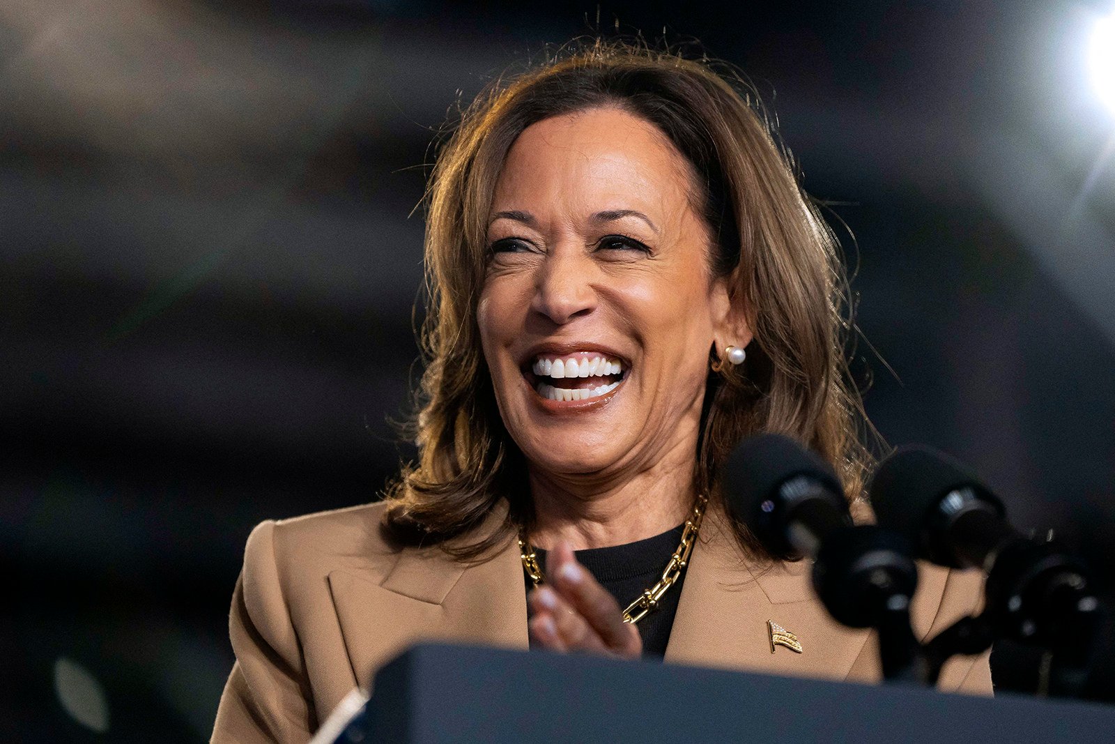 Democratic US presidential candidate Kamala Harris speaks during a campaign rally in Chandler, Arizona, on Thursday. Photo: TNS