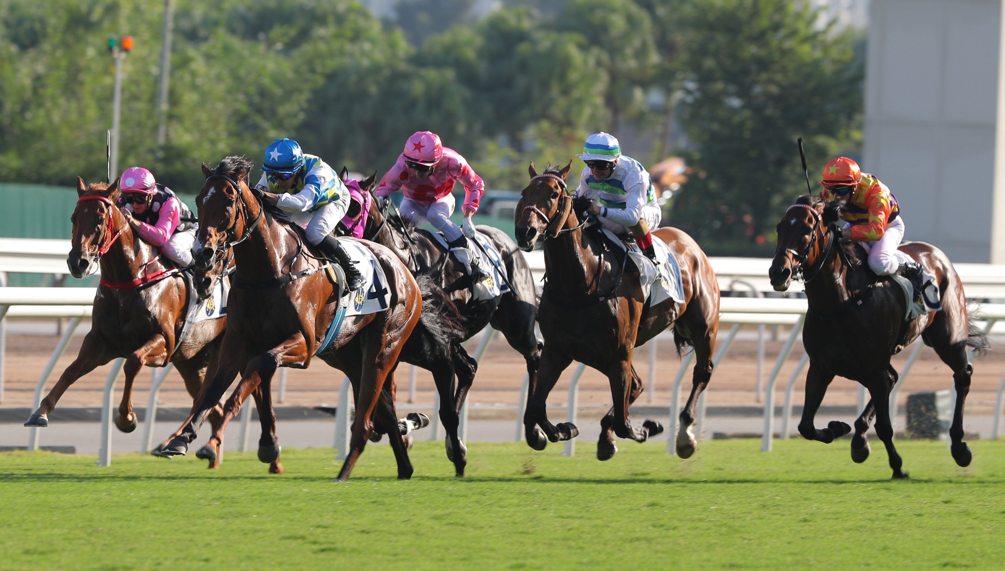 Voyage Bubble (second to right) and Straight Arron (right) hit the line powerfully in Sunday’s Sha Tin Trophy. Photos: Kenneth Chan