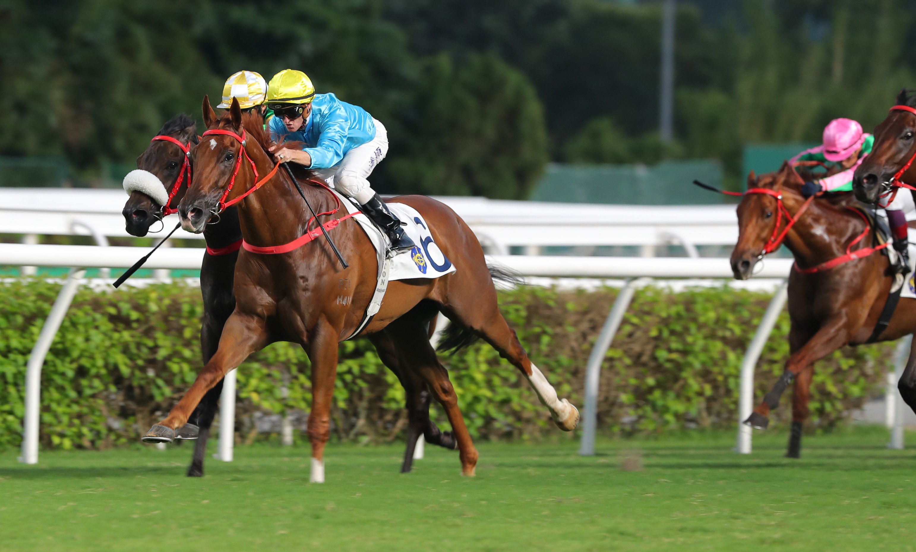 Wunderbar edges clear of Bottomuptogether to score for Zac Purton. Photos: Kenneth Chan