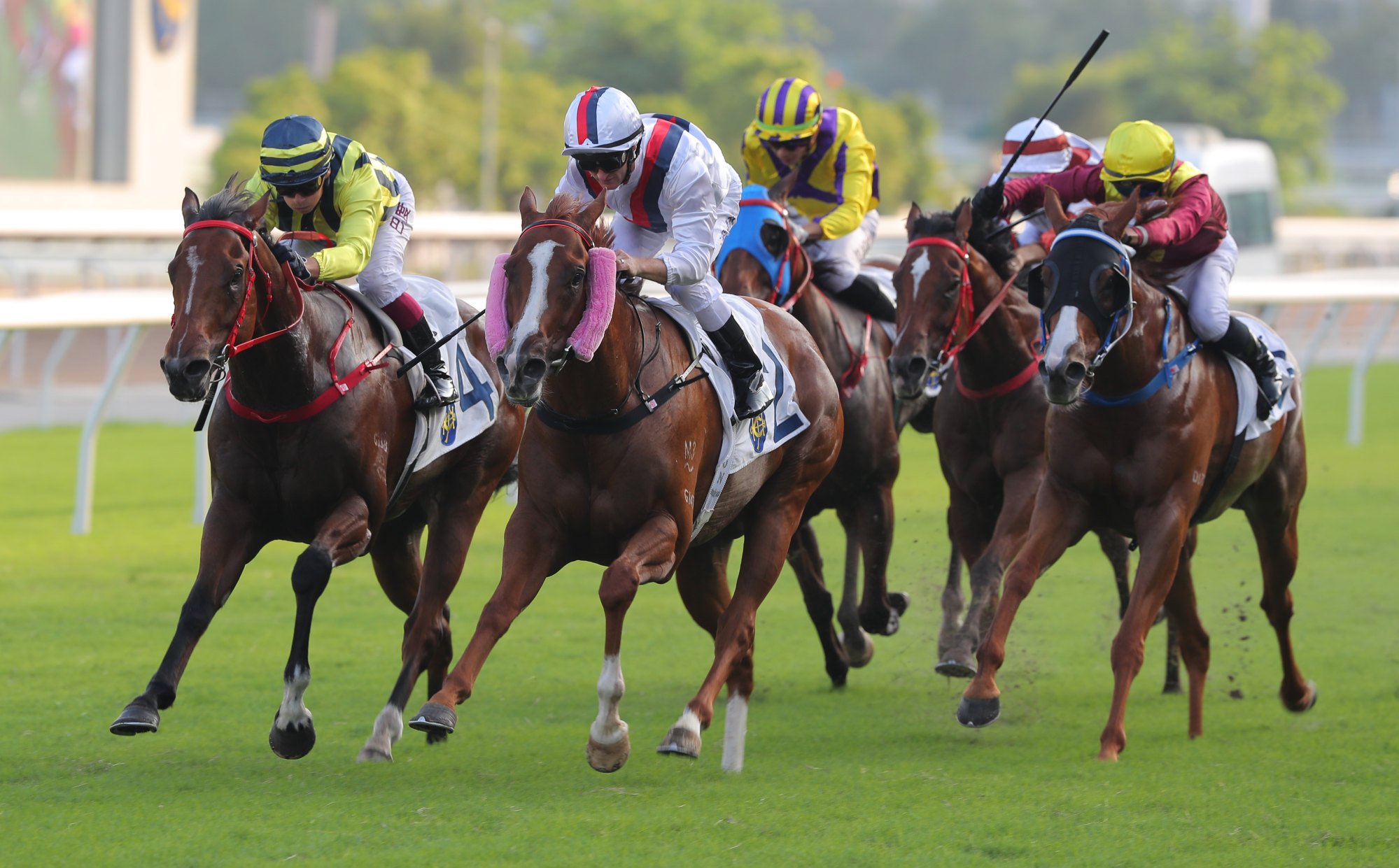 Stoltz wins the Group Three National Day Cup under Zac Purton in 2023.