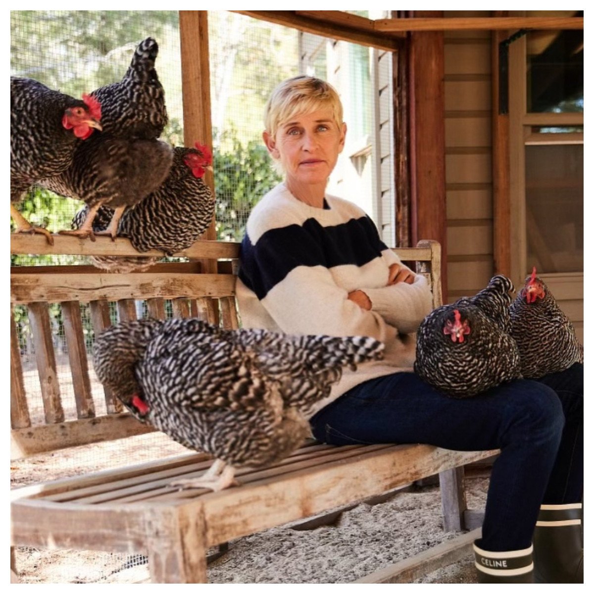 What happened to Ellen DeGeneres after her downfall? Photo: @ellendegeneres/Instagram