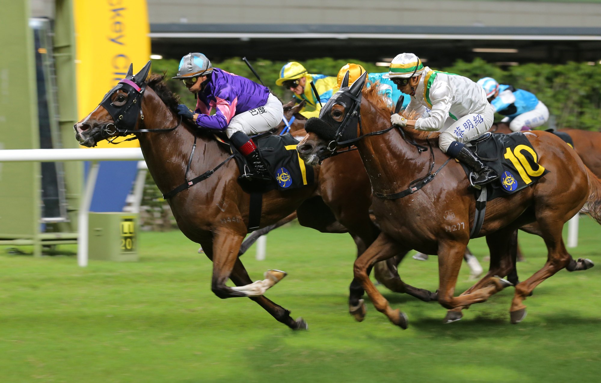 Spicy Gold prevails at Happy Valley in September.