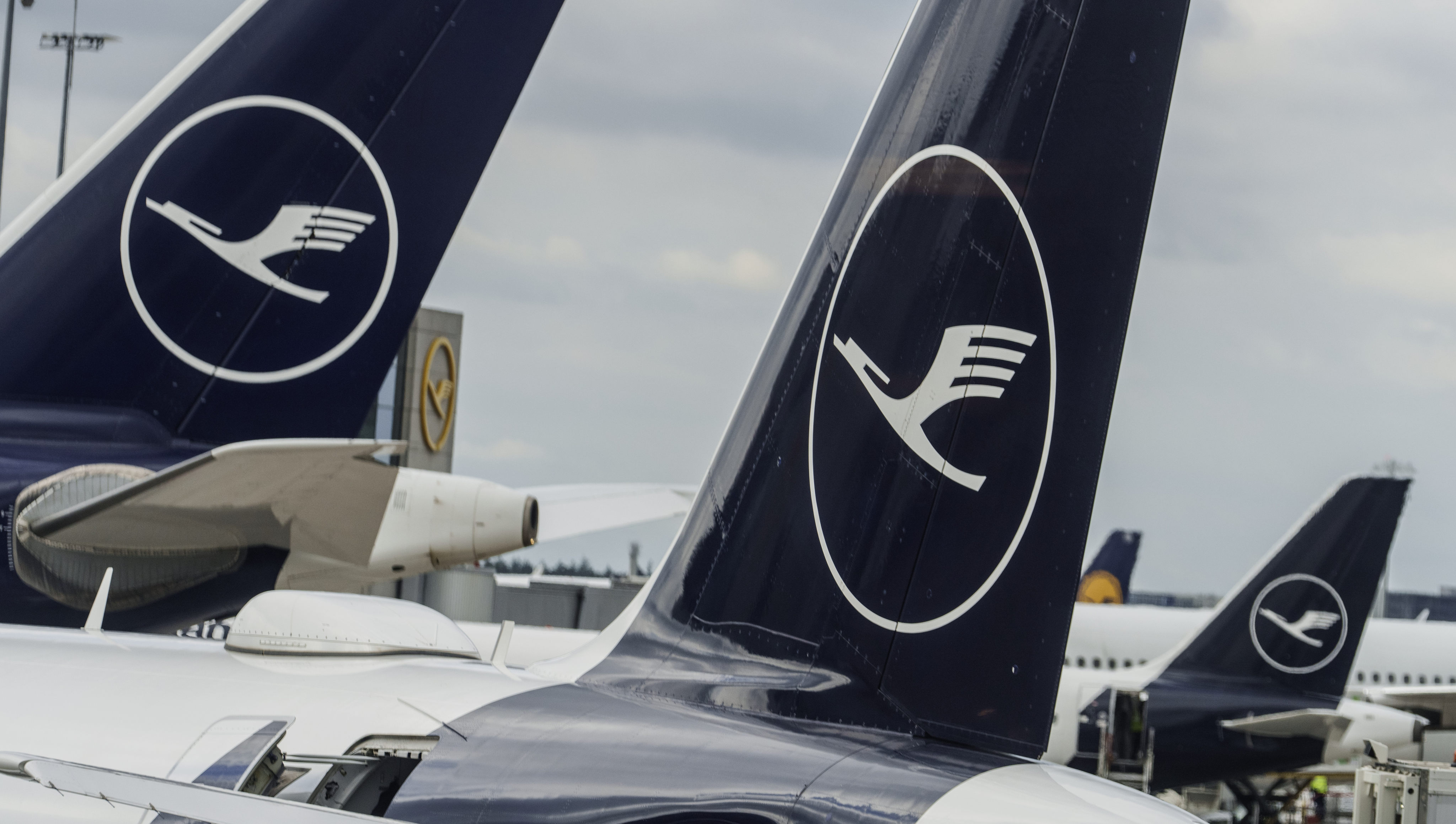 Lufthansa aircraft are seen on the tarmac in Frankfurt in July. Photo: dpa