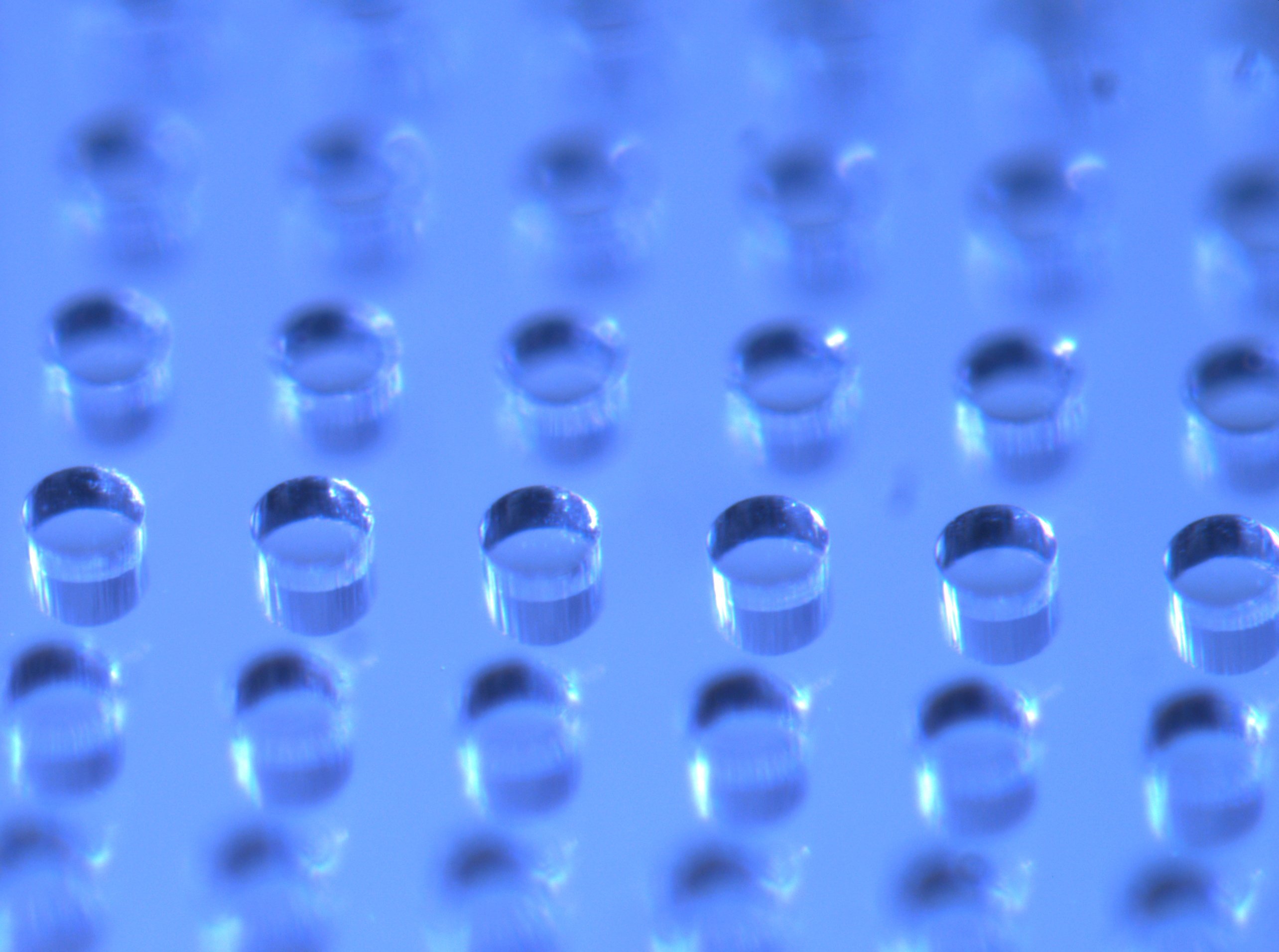 The Nanoswab device viewed through an optical microscope. Photo: Handout