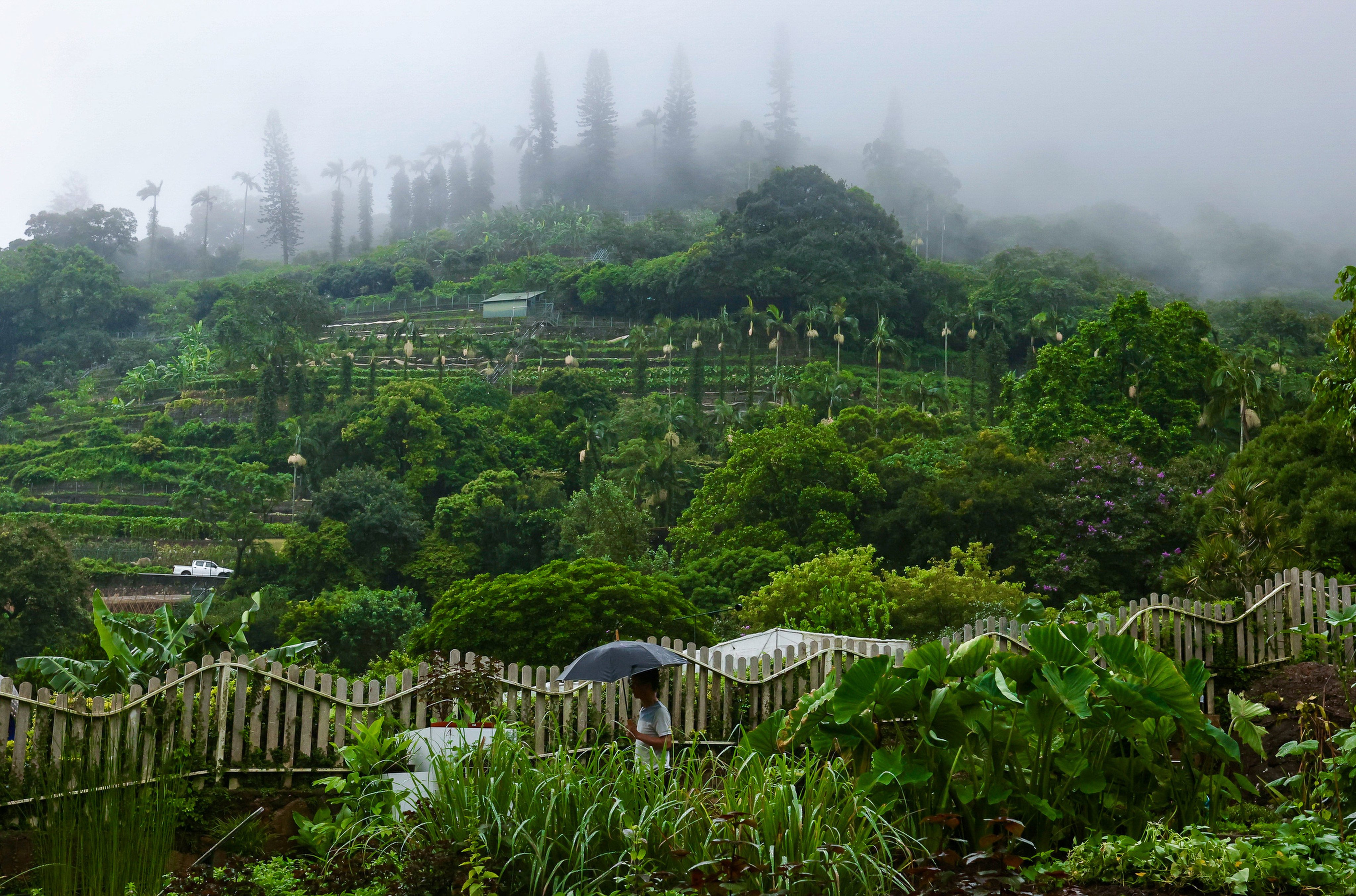 Family offices in Hong Kong more often need to factor in philanthropy when building portfolios of multi-generational investments - incorporating initiatives such as the environmental work of the city’s Kadoorie Farm and Botanic Garden. Photo: Jonathan Wong