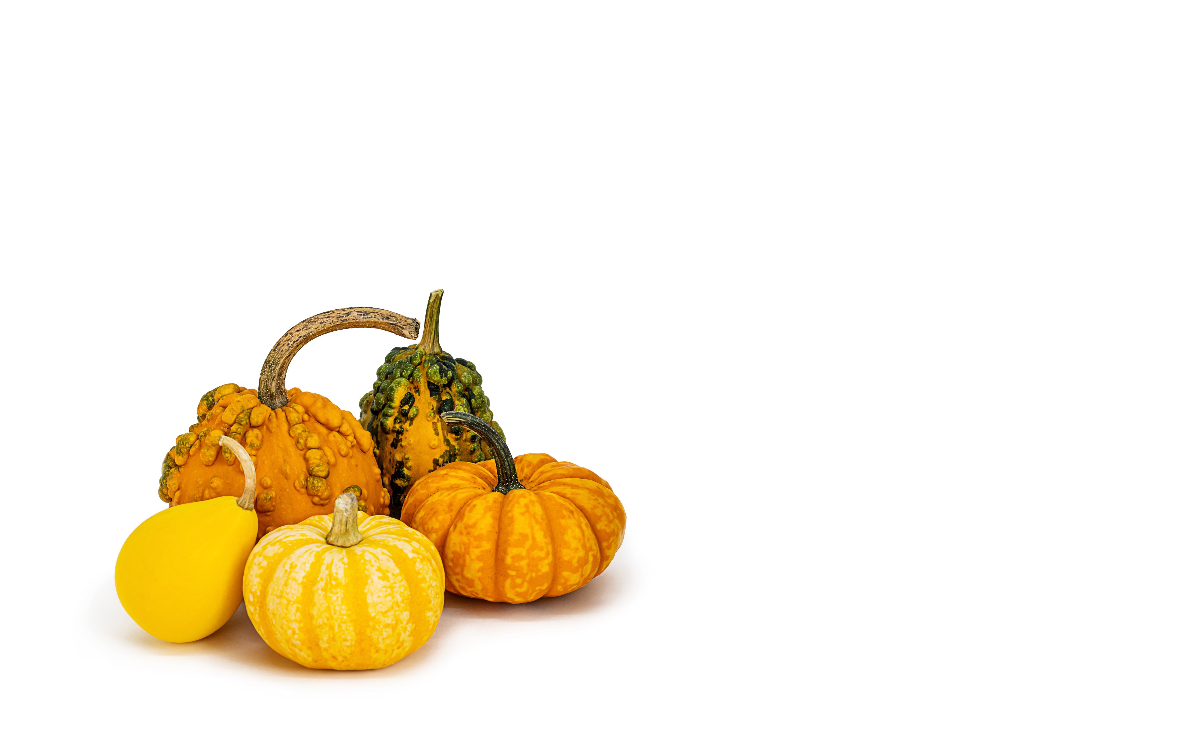 Pumpkins range from yellow to green, blue, purple, black and even white, and work in salads, soups, curries, pumpkin pie (of course) and other desserts. Photo: Getty Images