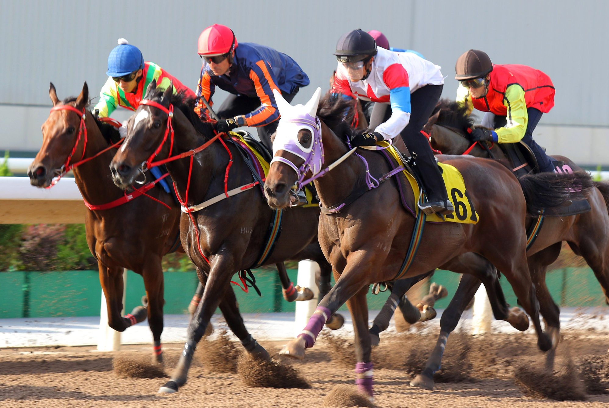 Winning Gold (right) in action in a Sha Tin dirt trial.