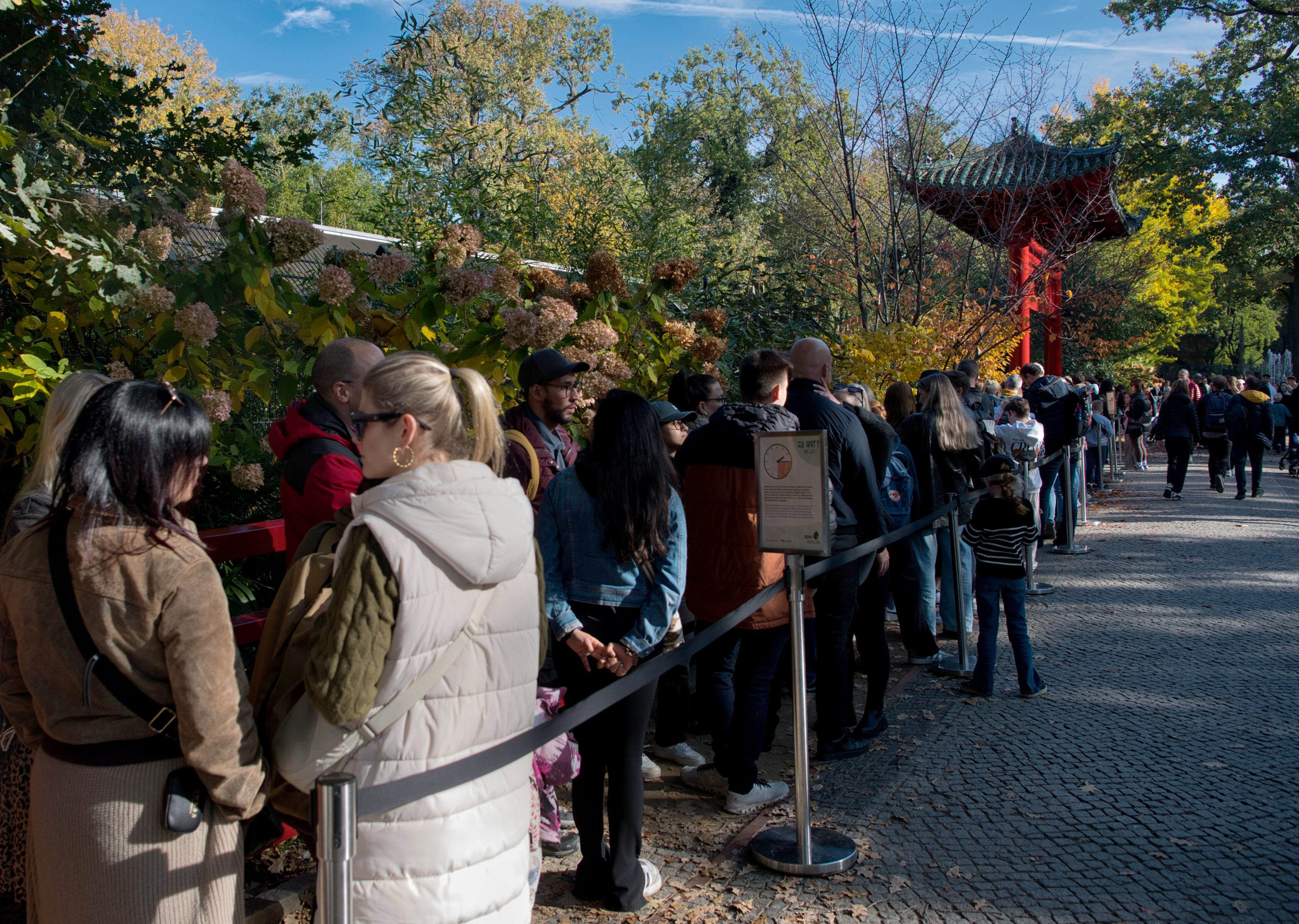 Visitors queue at Berlin zoo to look at baby pandas on Sunday. Photo: dpa