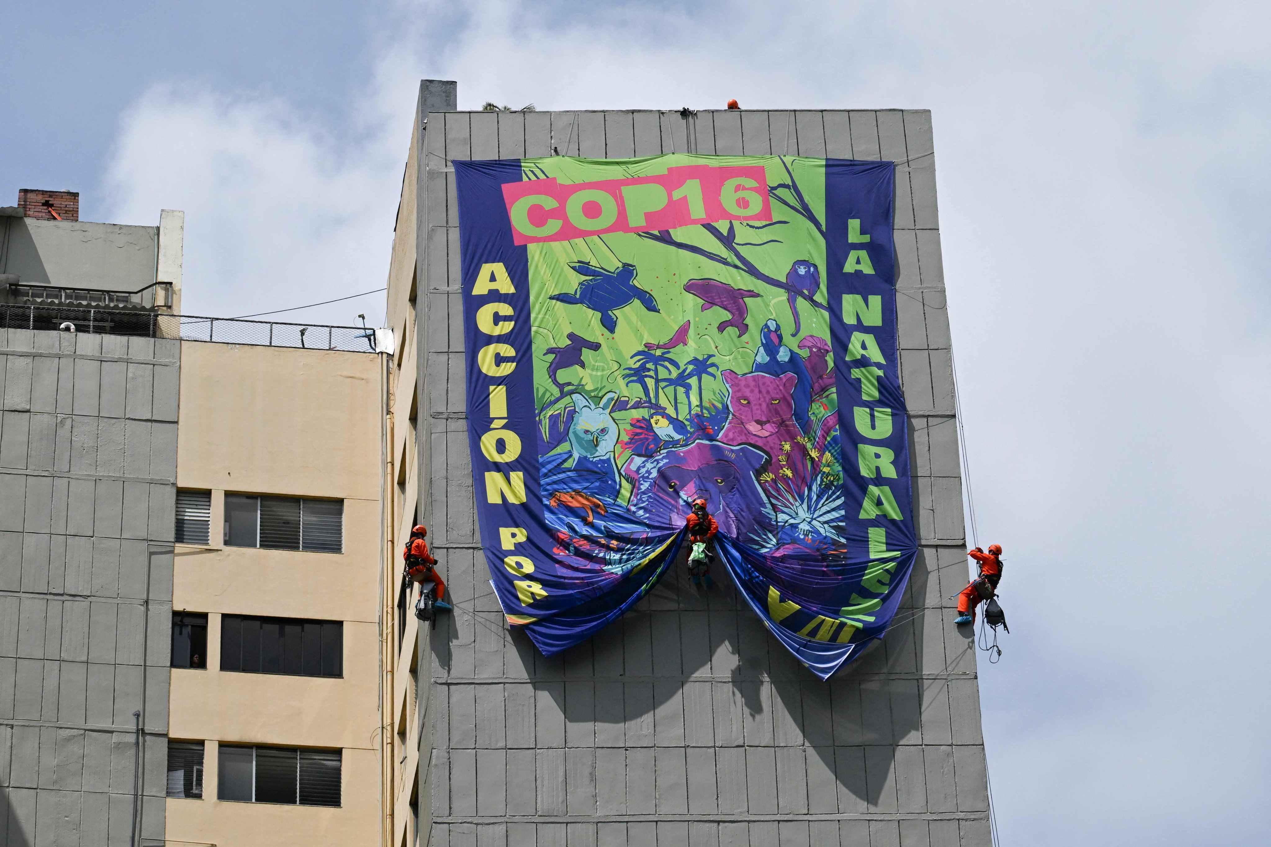 Greenpeace activists hang a banner that reads ‘COP 16 Action for Nature’, in Cali, Colombia. Photo: AFP