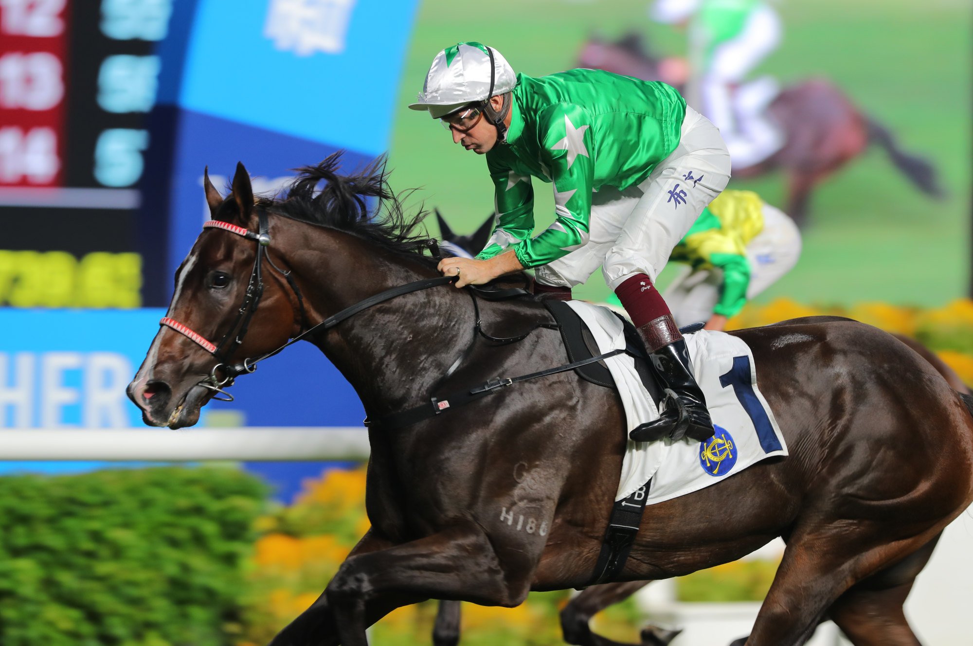 Hugh Bowman enjoys success aboard Green N White at Sha Tin on Sunday.