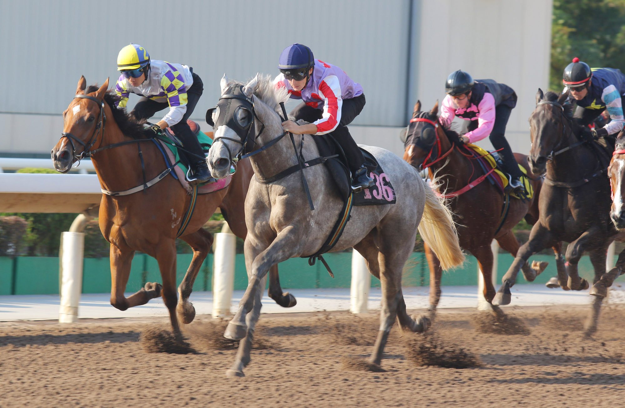 Talents Ambition wins his latest dirt trial at Sha Tin.