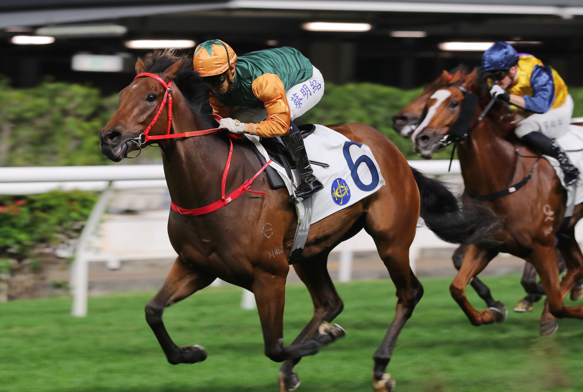 Golden Long scores on debut for Matthew Chadwick.