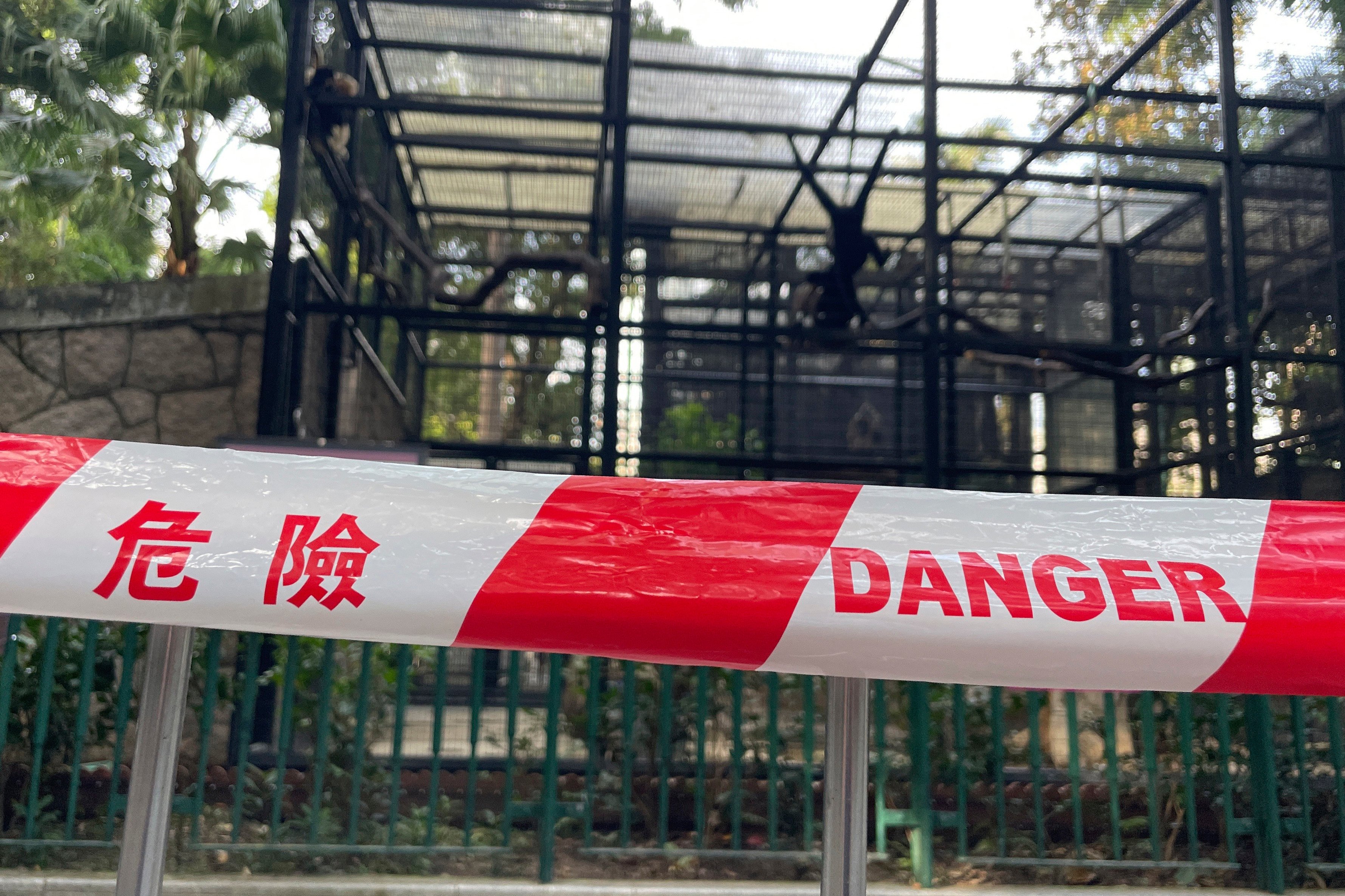 A cordon is seen at the monkey enclosures of 
the Hong Kong Zoological and Botanical Gardens on October 15. Photo: AP