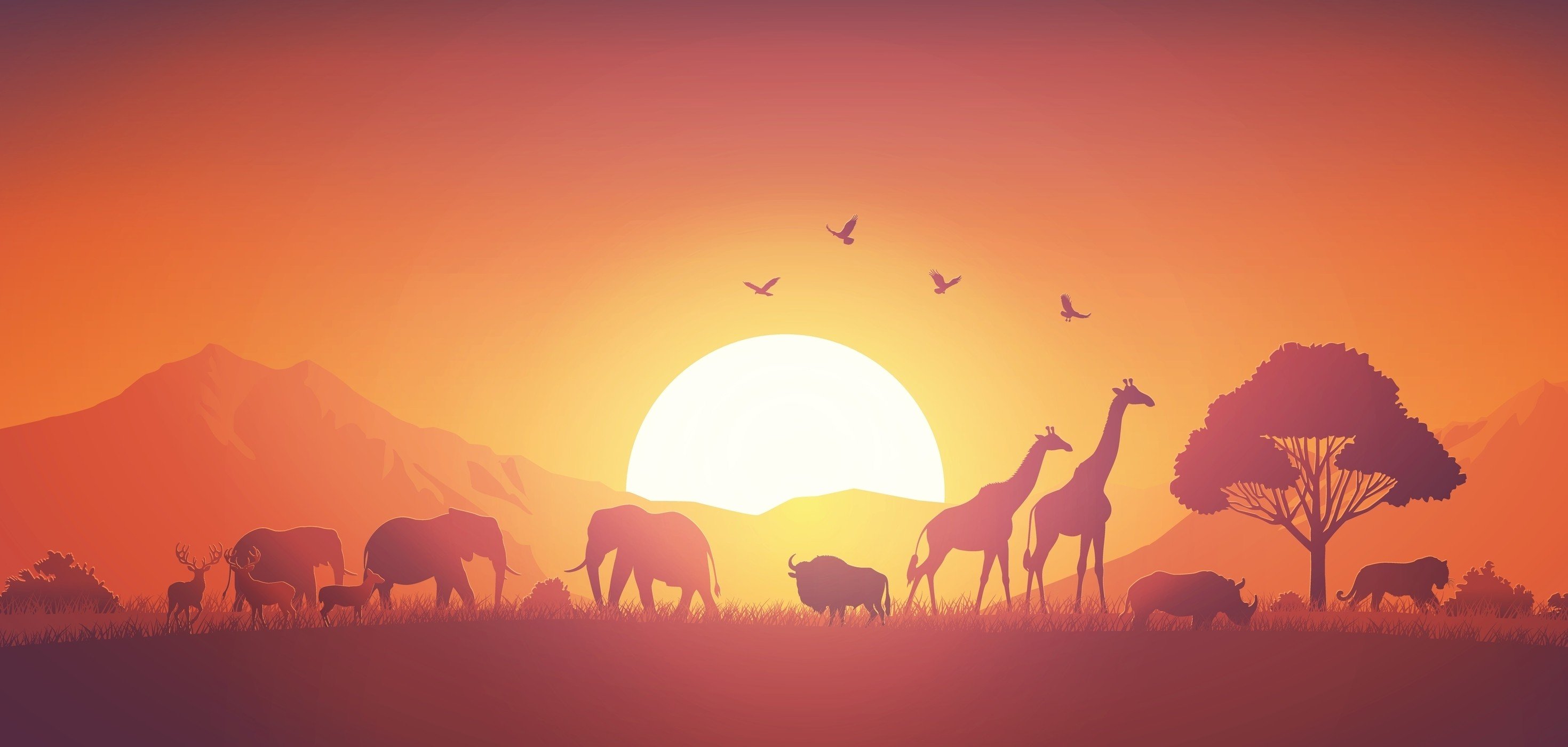 Discover the wonders of the animal kingdom with these fun activities. Photo: Shutterstock 