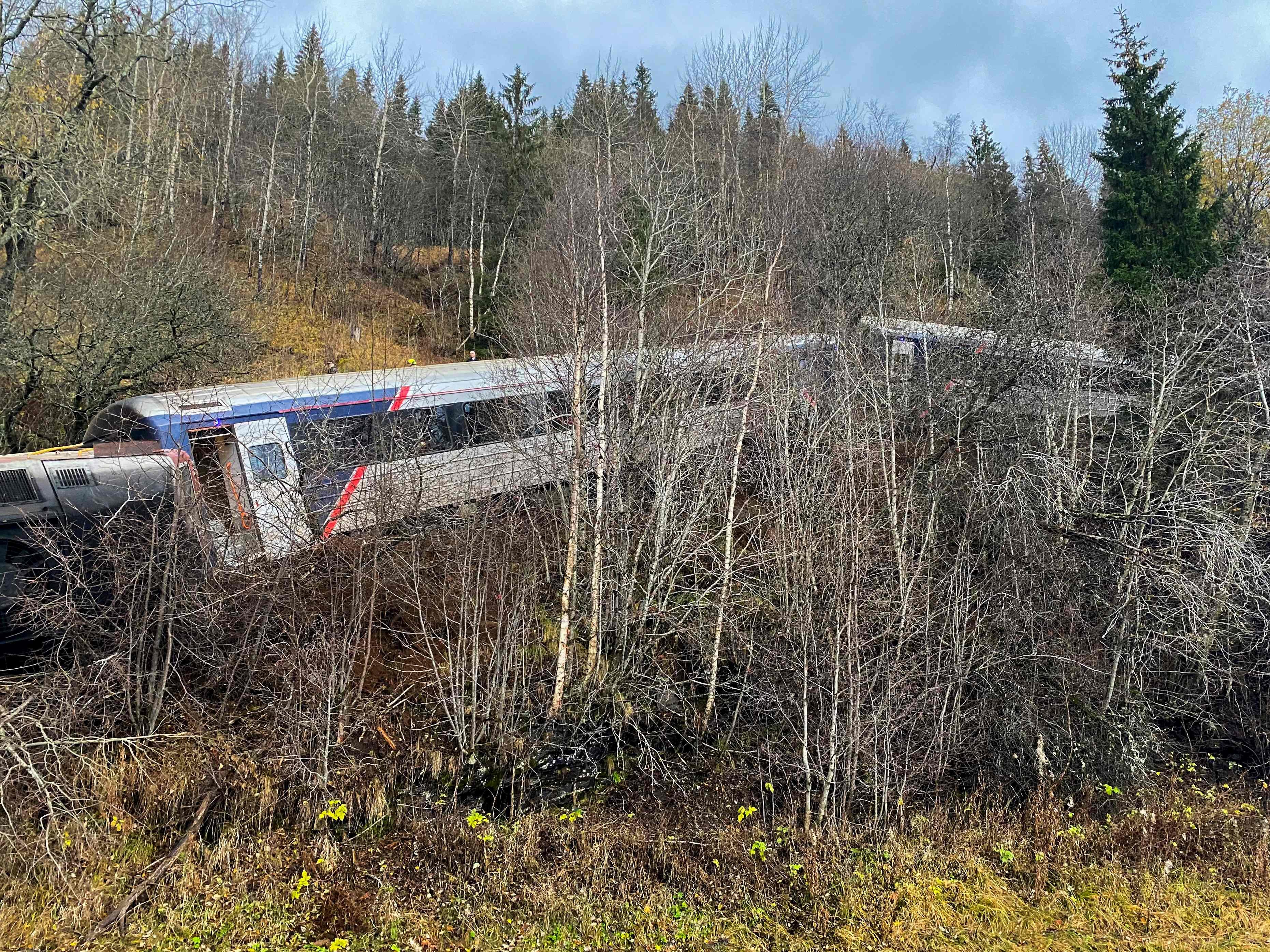 A train carrying between “50 and 70 passengers” in northern Norway derailed on Thursday. Photo: AFP