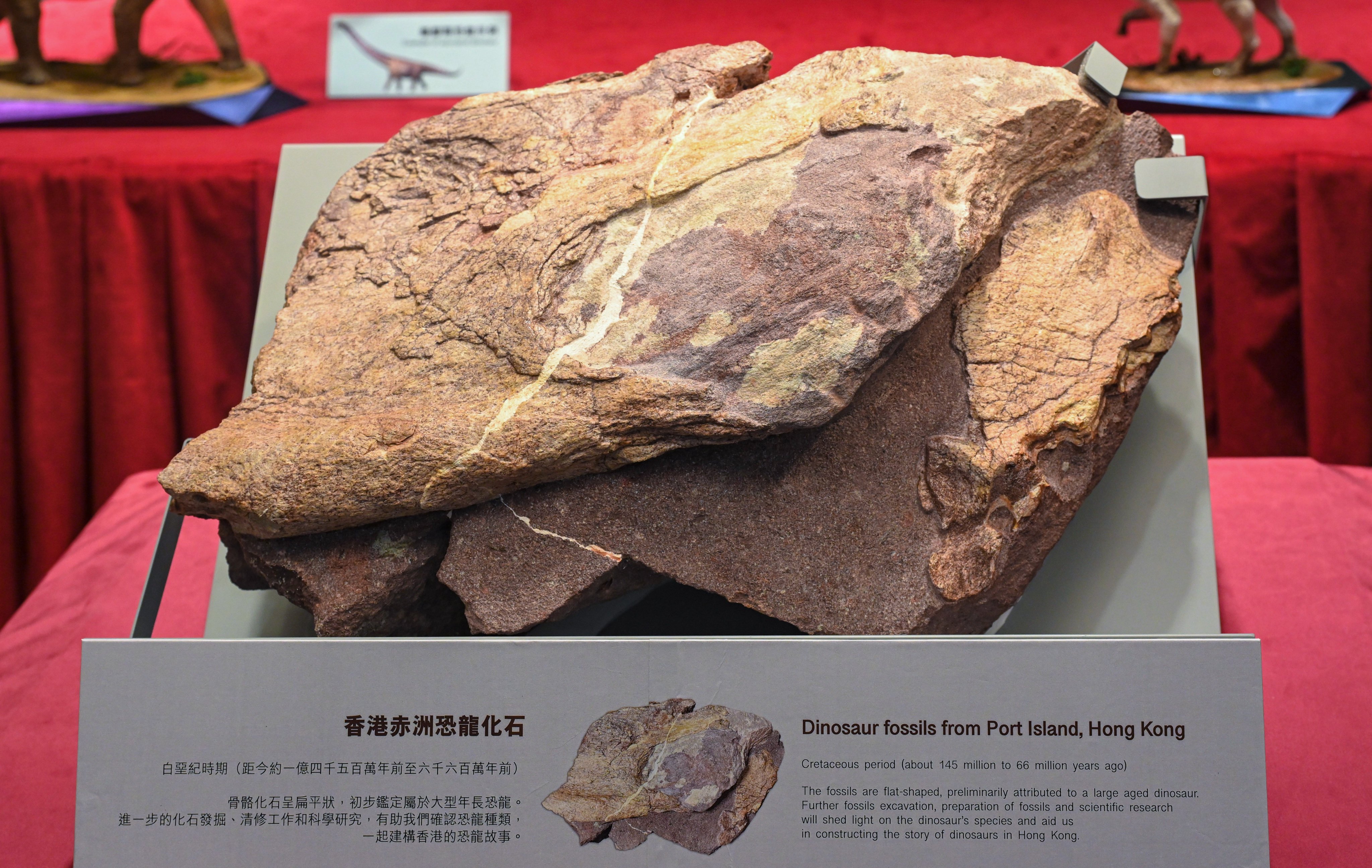 Dinosaur fossils have been discovered in Hong Kong for the first time. Photo: ISD