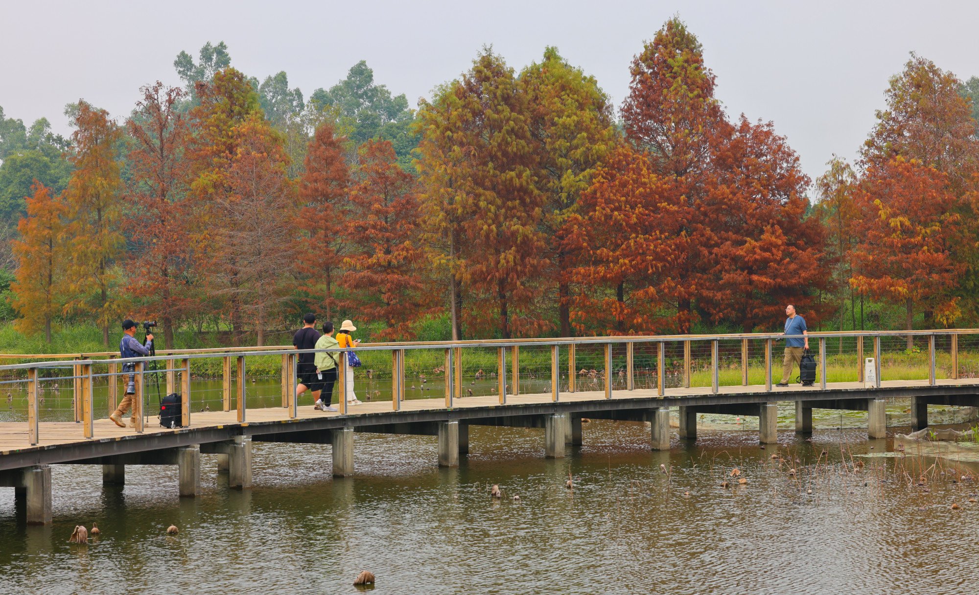 Hong Kong Wetland Park in Tin Shui Wai. Photo: Dickson Lee