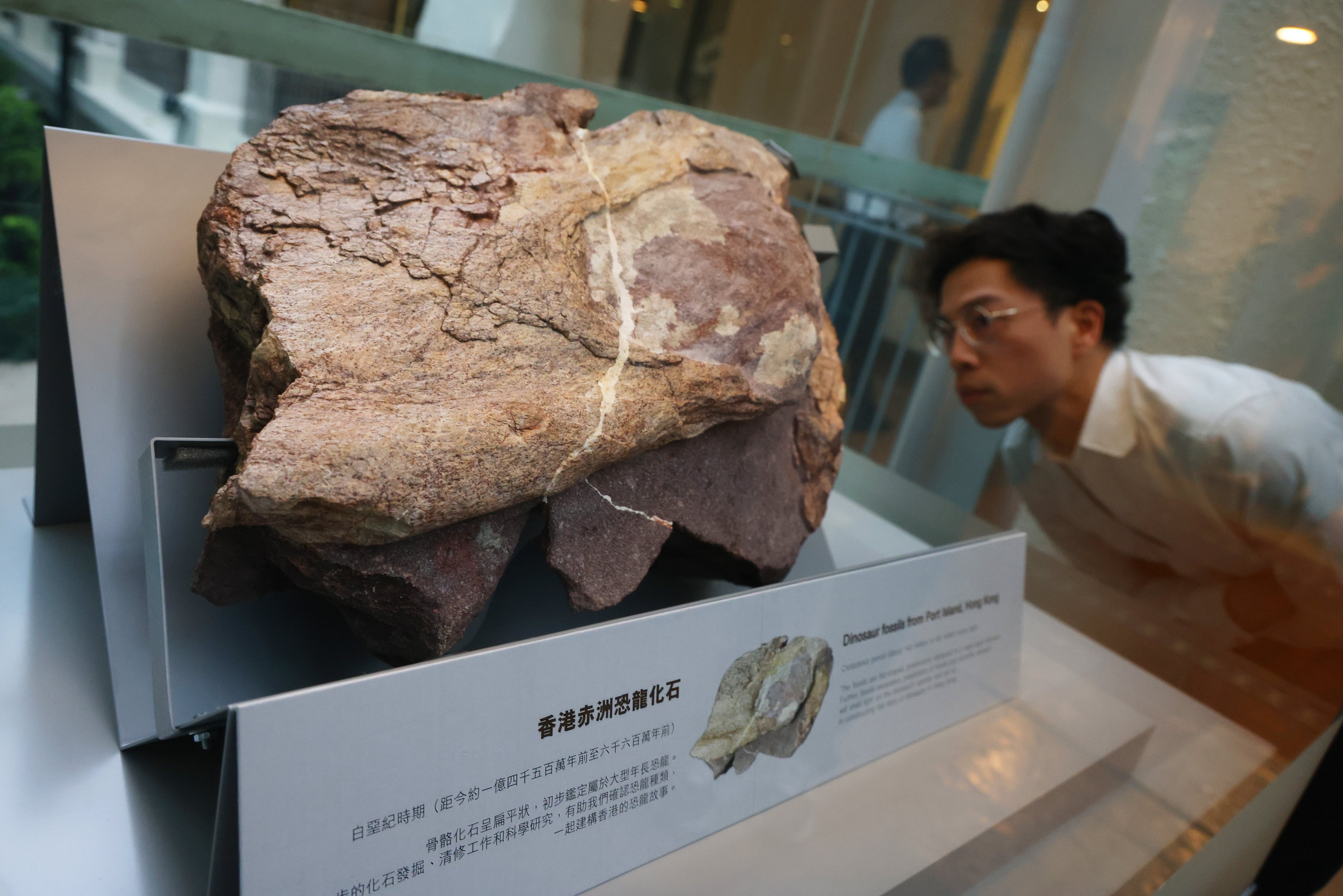 Dinosaur fossils were discovered in Hong Kong for the first time. Photo: Dickson Lee