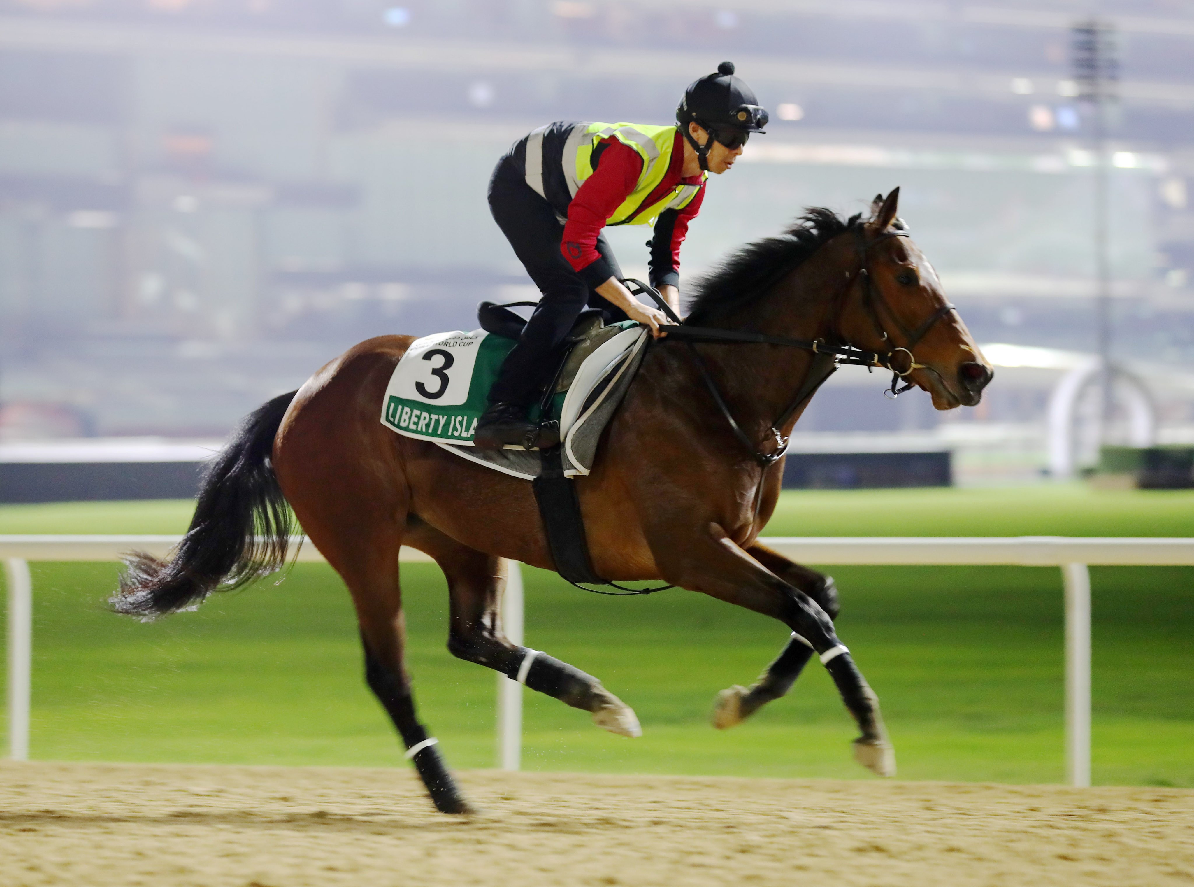 Liberty Island gallops at Meydan ahead of her third in March’s Dubai Sheema Classic. Photo: Kenneth Chan