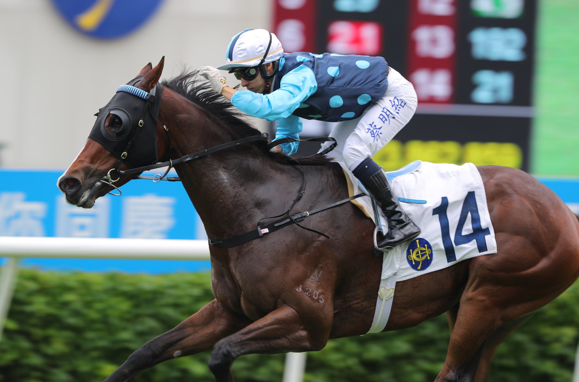 Matthew Chadwick spears Win Speed to victory at Sha Tin on Sunday.