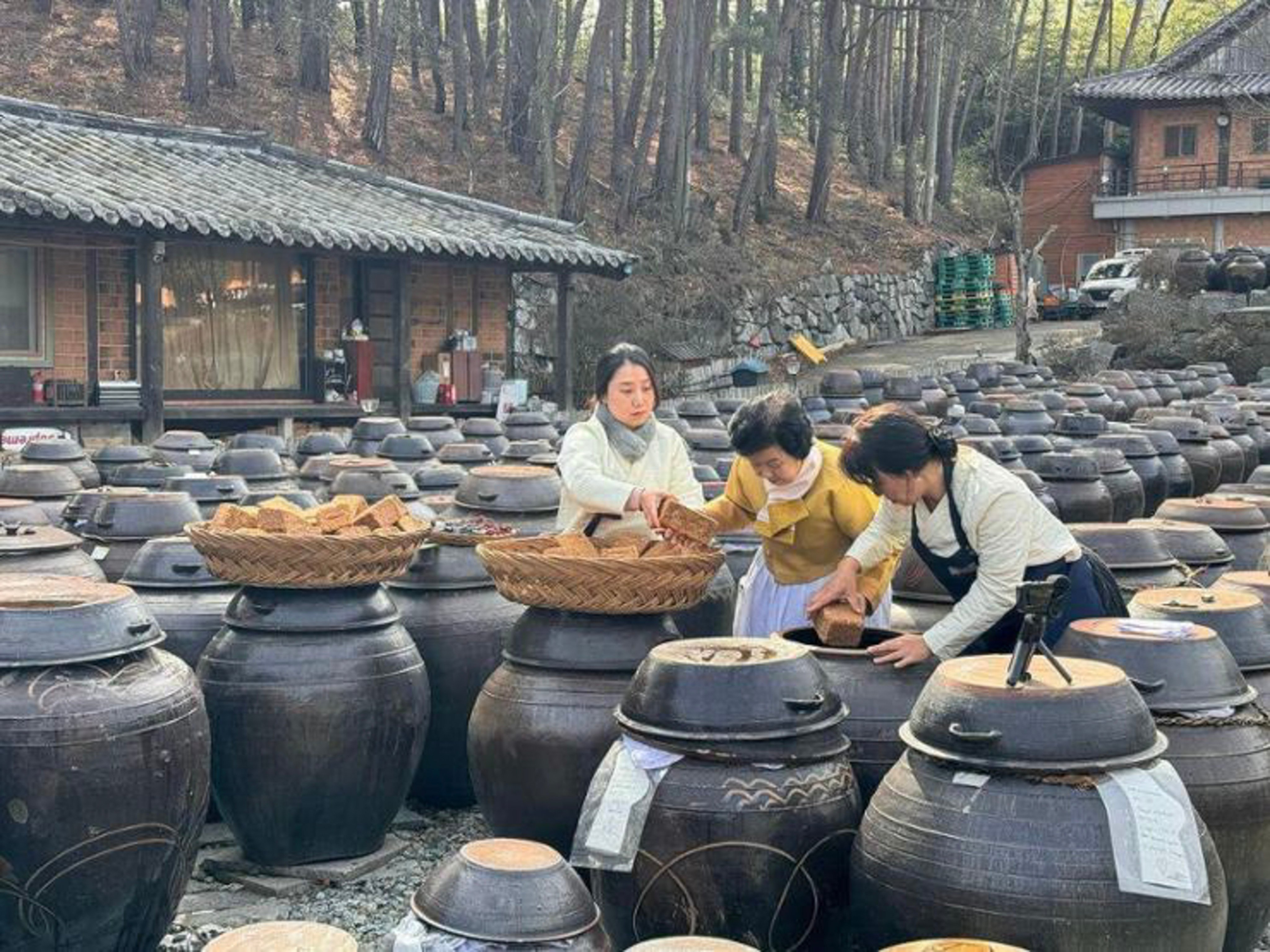 A traditional fermented paste producer in South Korea’S Jeolla region. Photo: Instagram