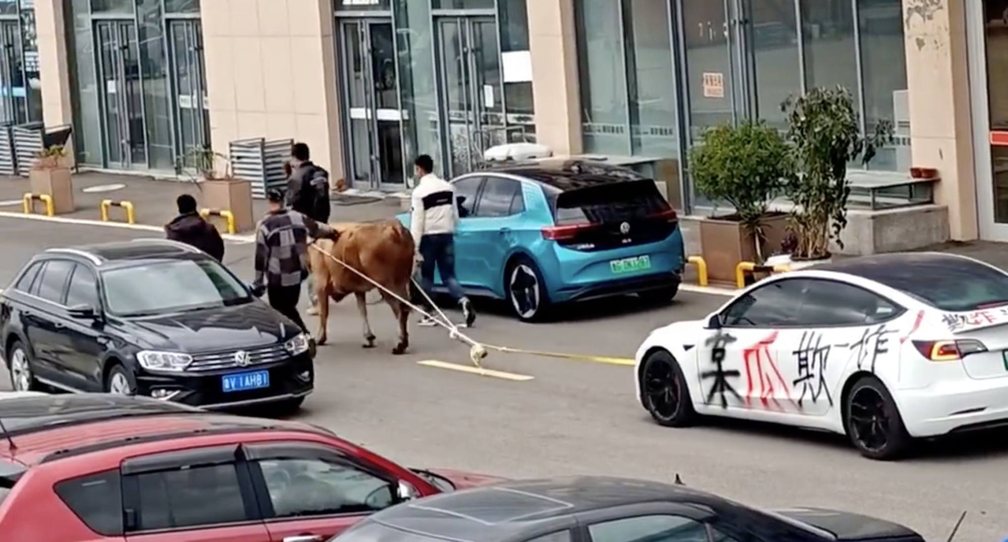 The unhappy buyer also sprayed the car with slogans saying he was the victim of a fraud. Photo: Weibo